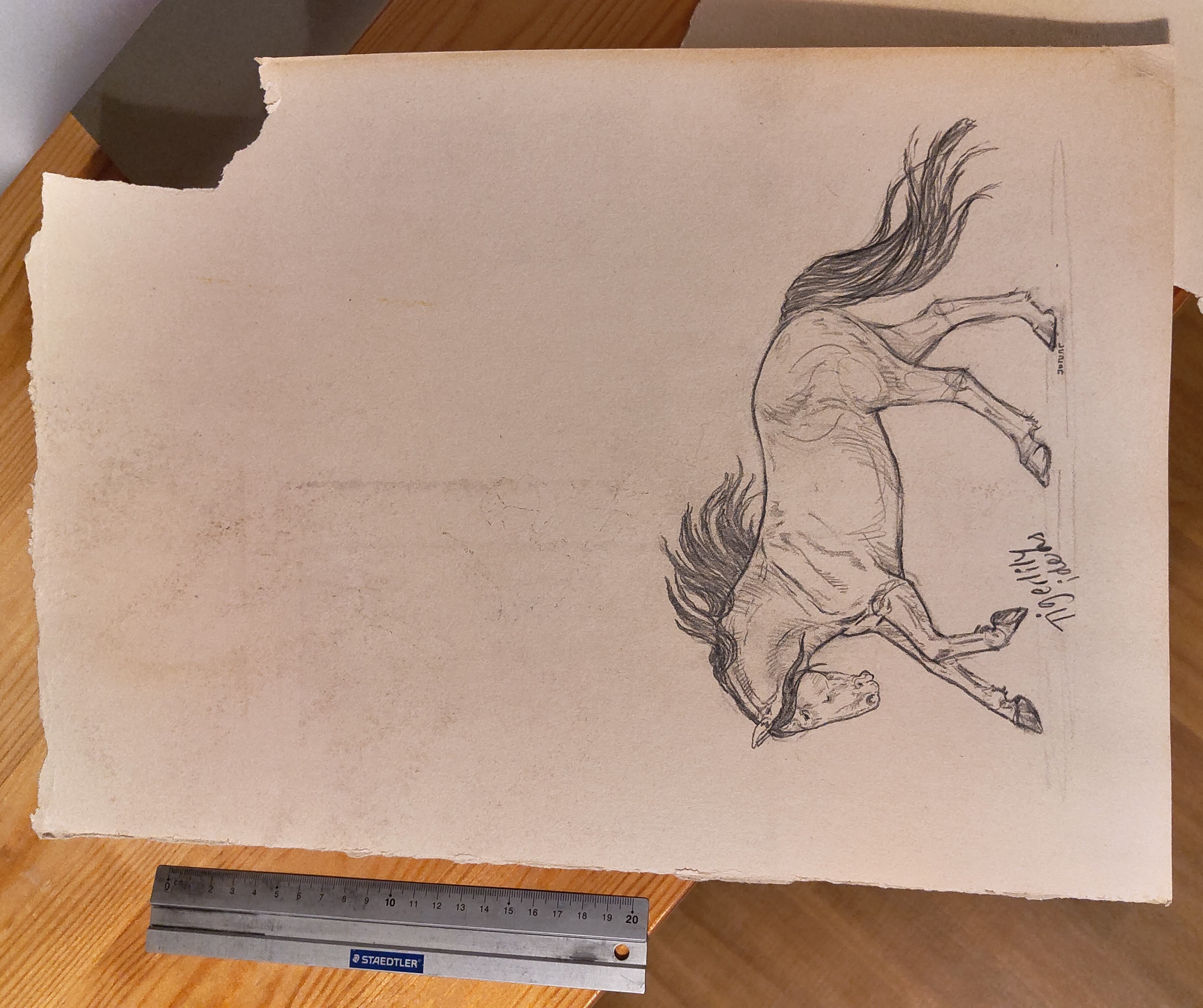 Flat art from archives 
