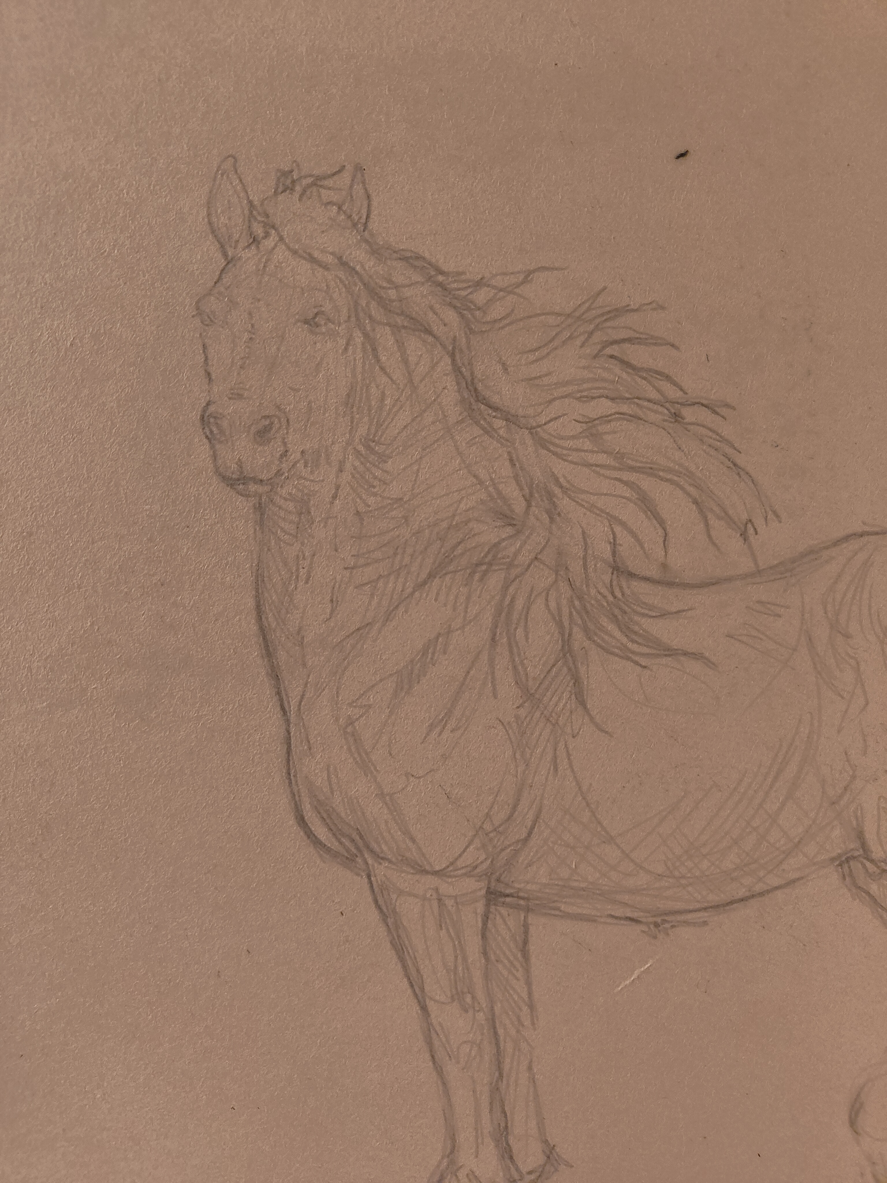 Concept sketch (Bunny custom), 2024, large size