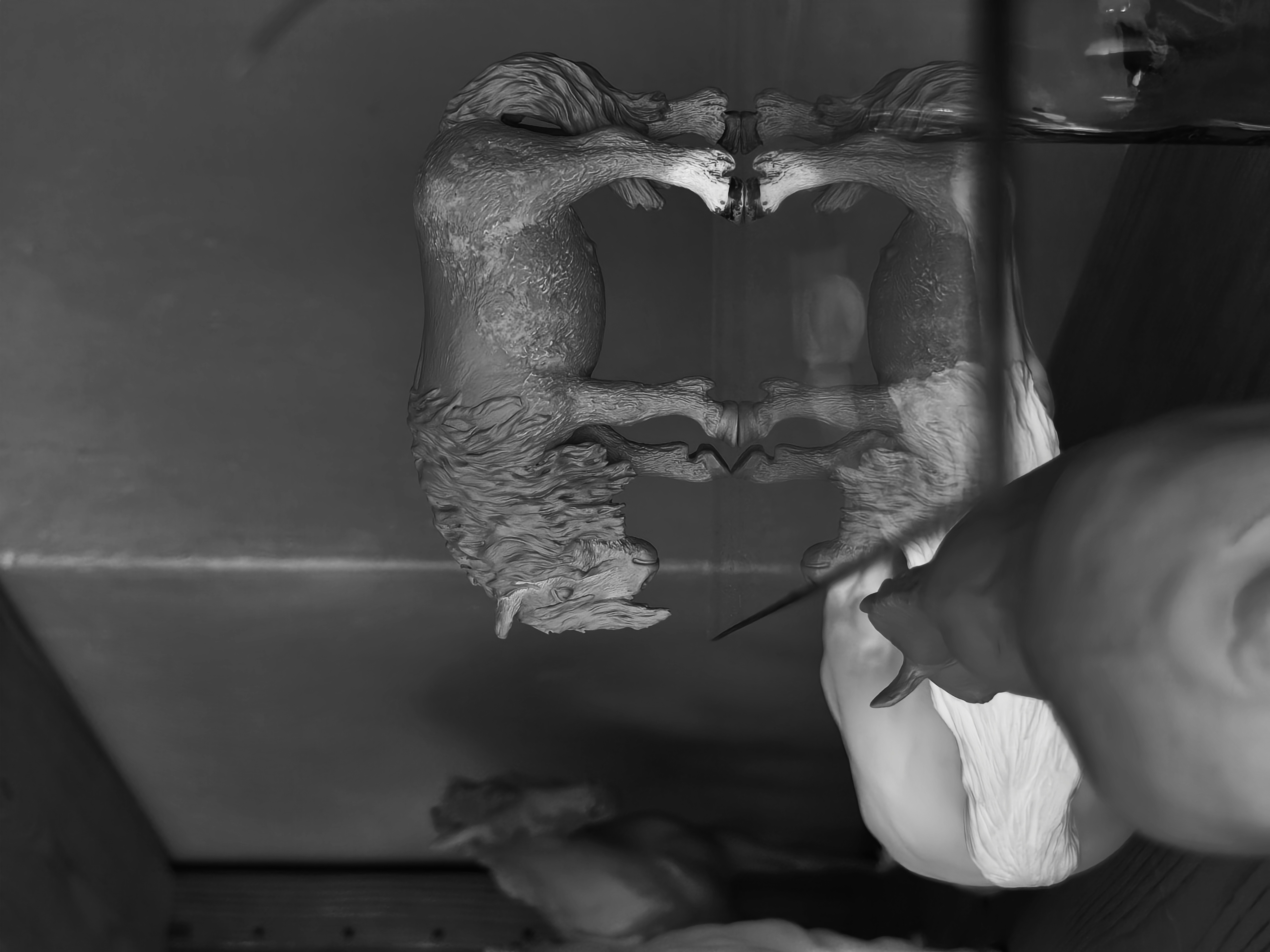 Schleich Shetty Mare