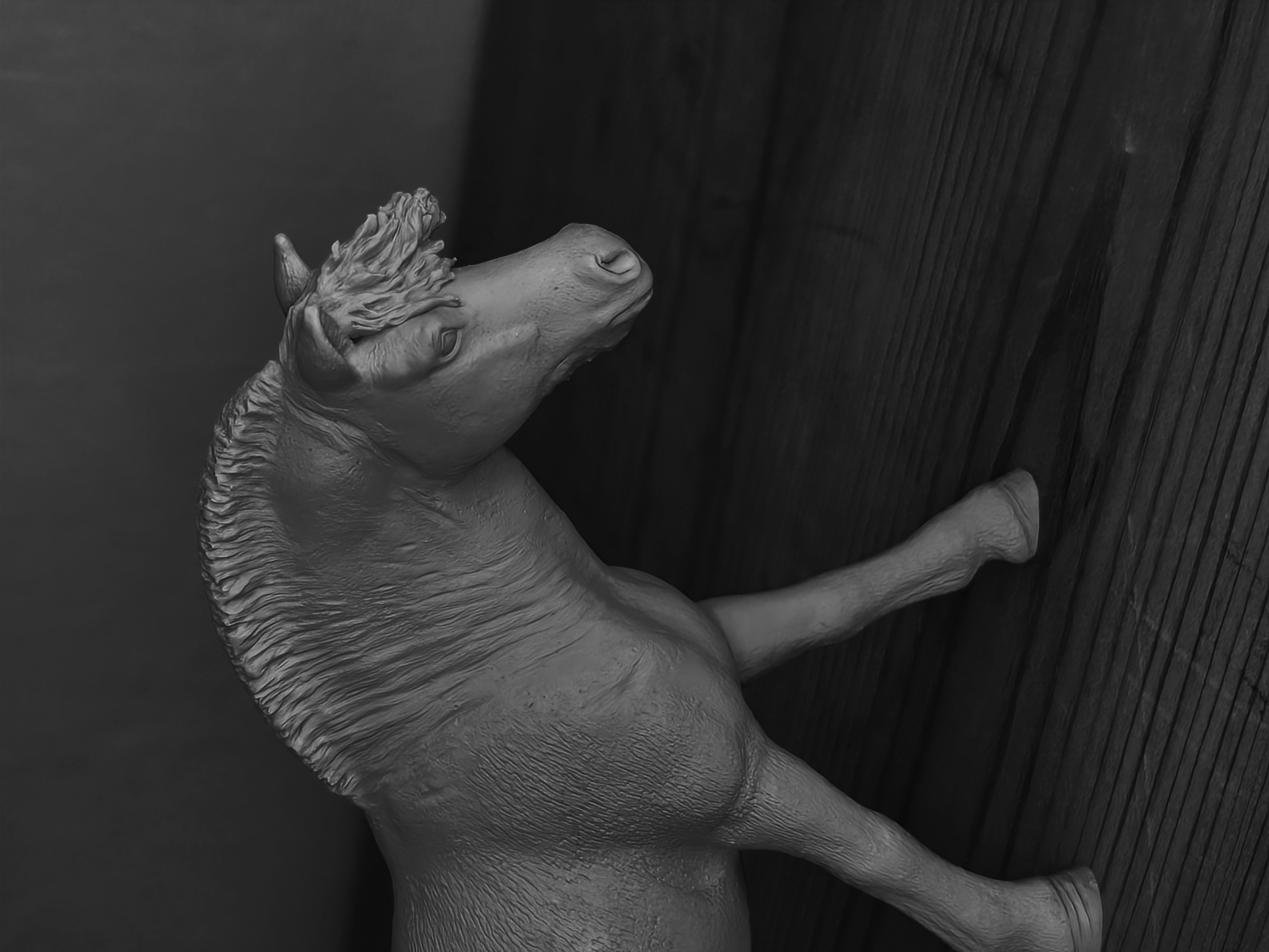 Schleich Haflinger Mix to a Fjord Stallion n.1