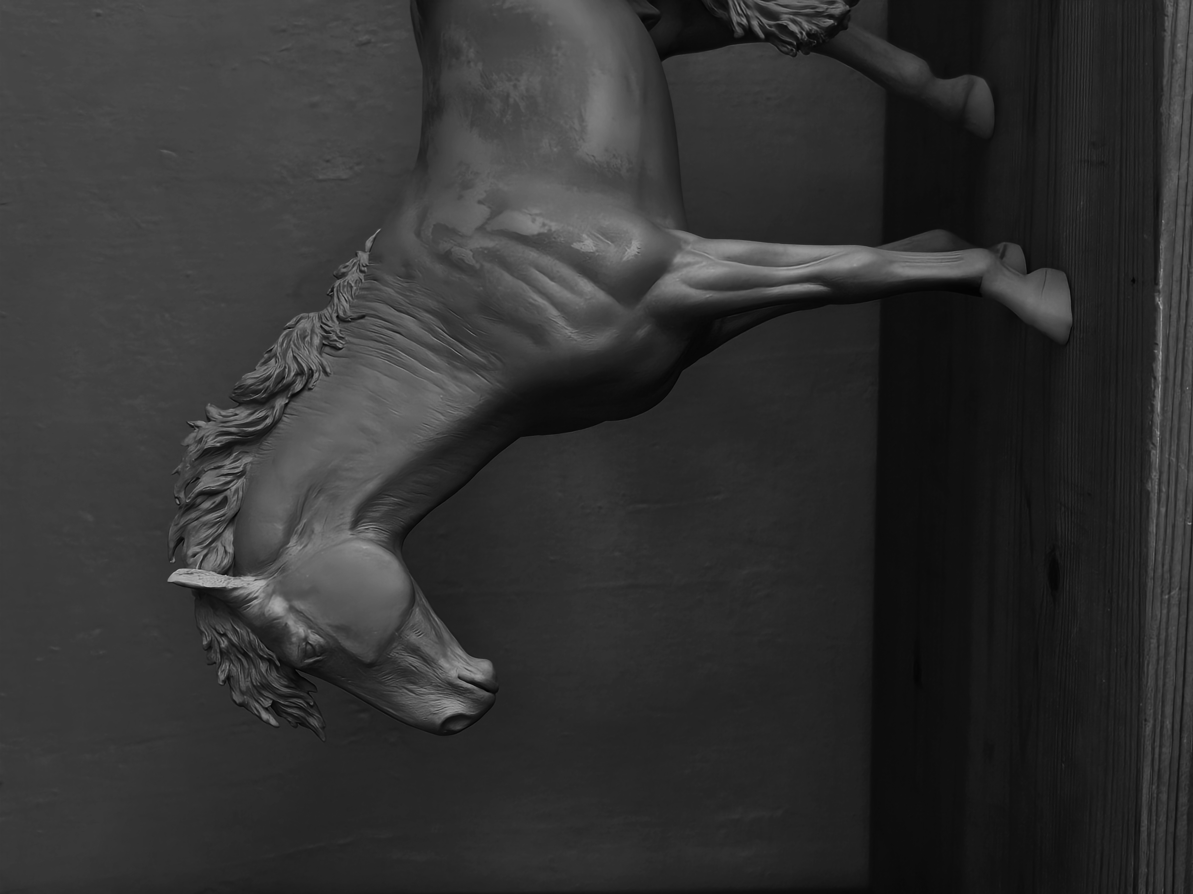 Breyer Idocus Drastic Custom