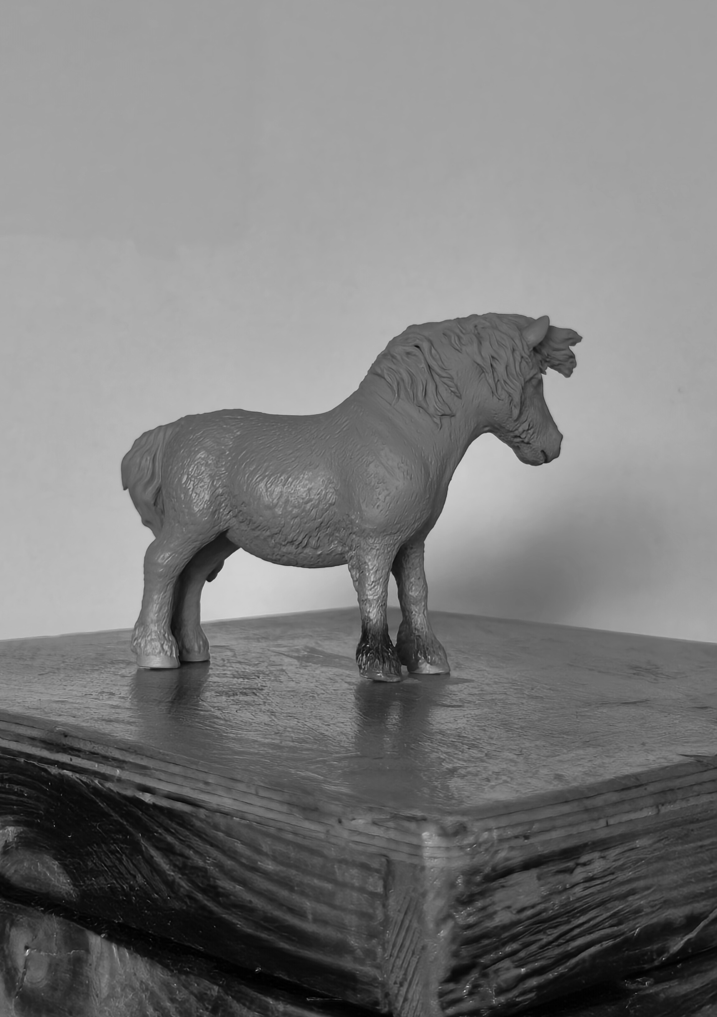 Schleich Shetland