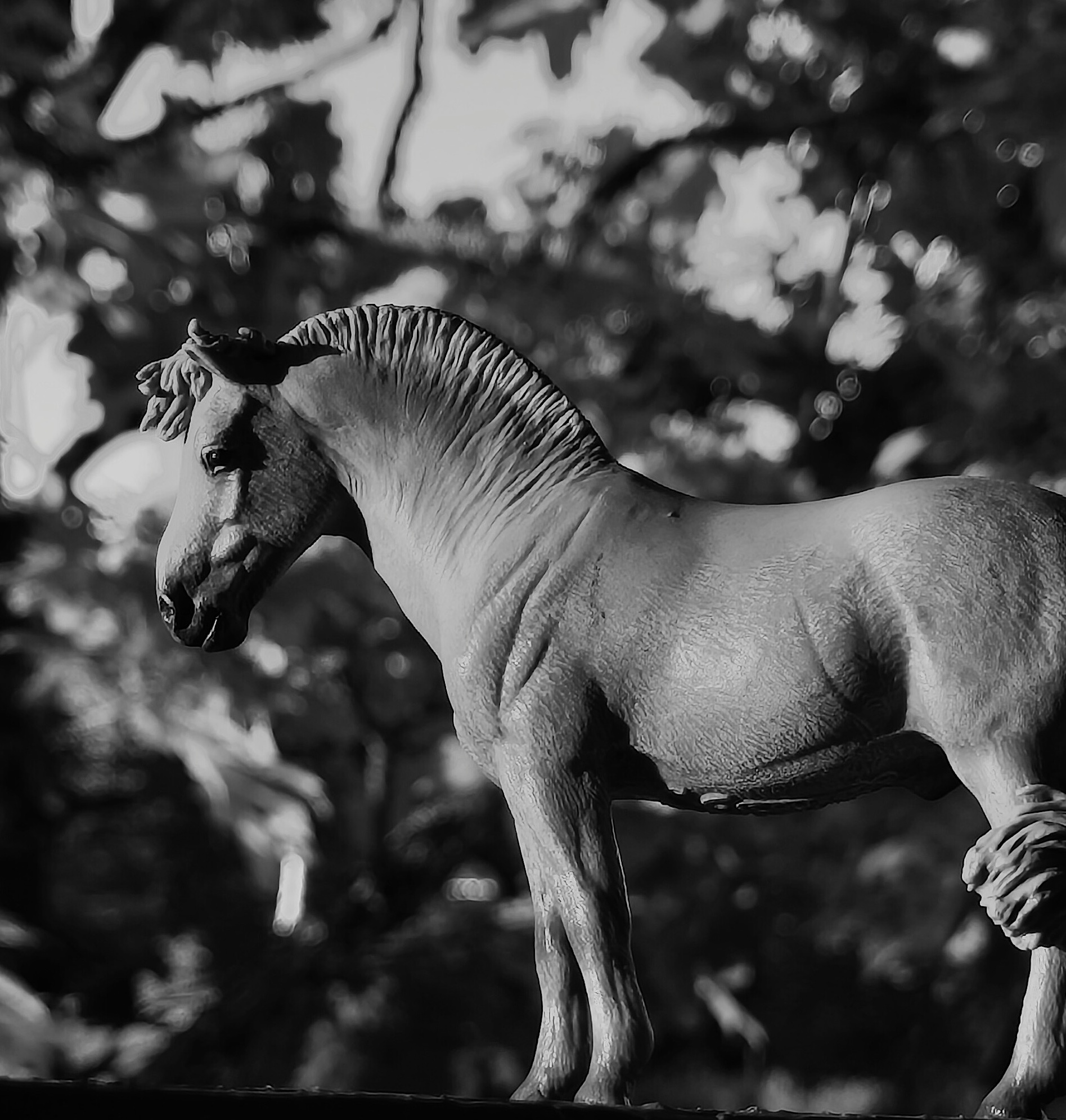 Surprise Horse: Collecta Fjord
