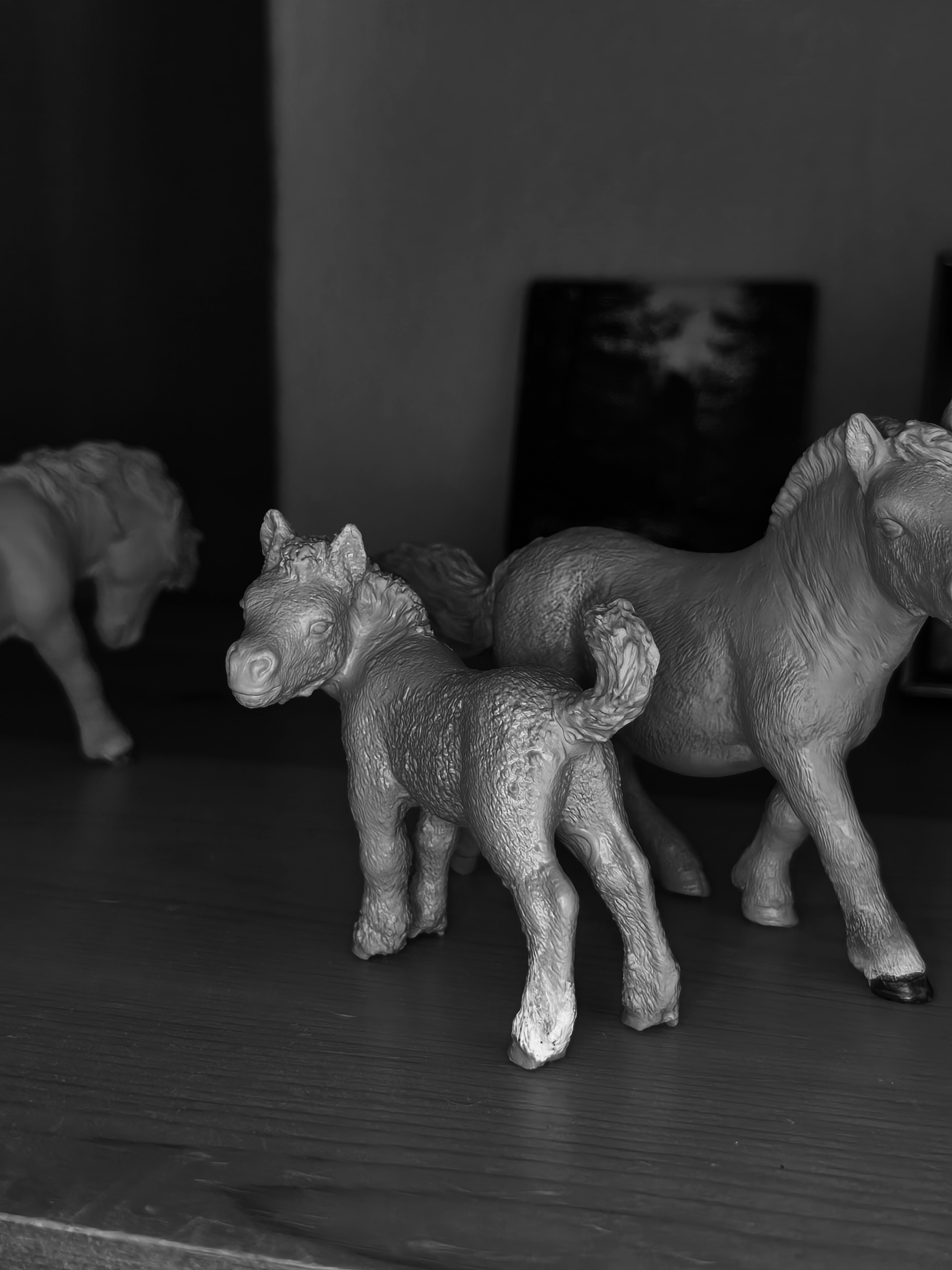 Schleich Shetland Foal