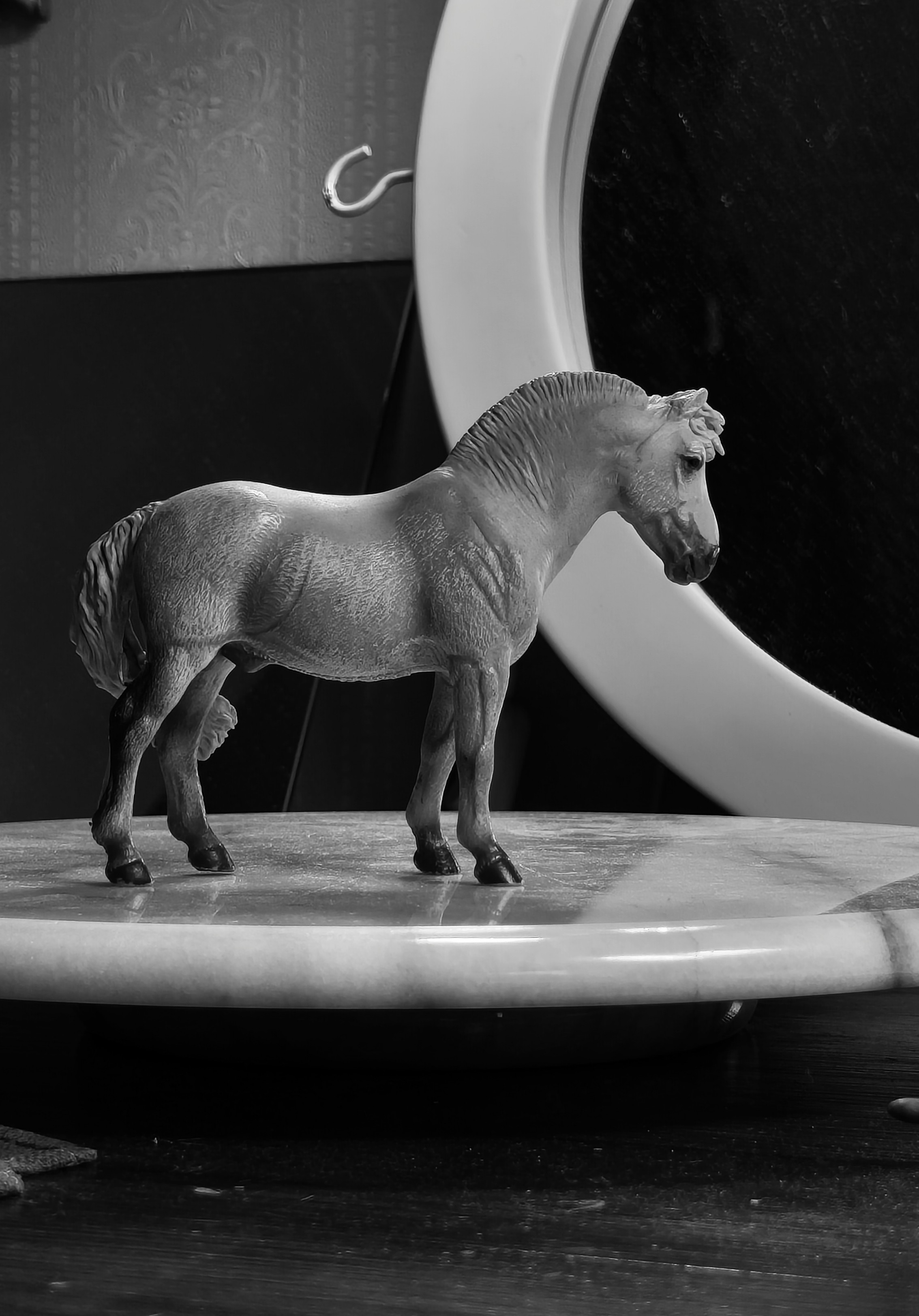 Surprise Horse: Collecta Fjord