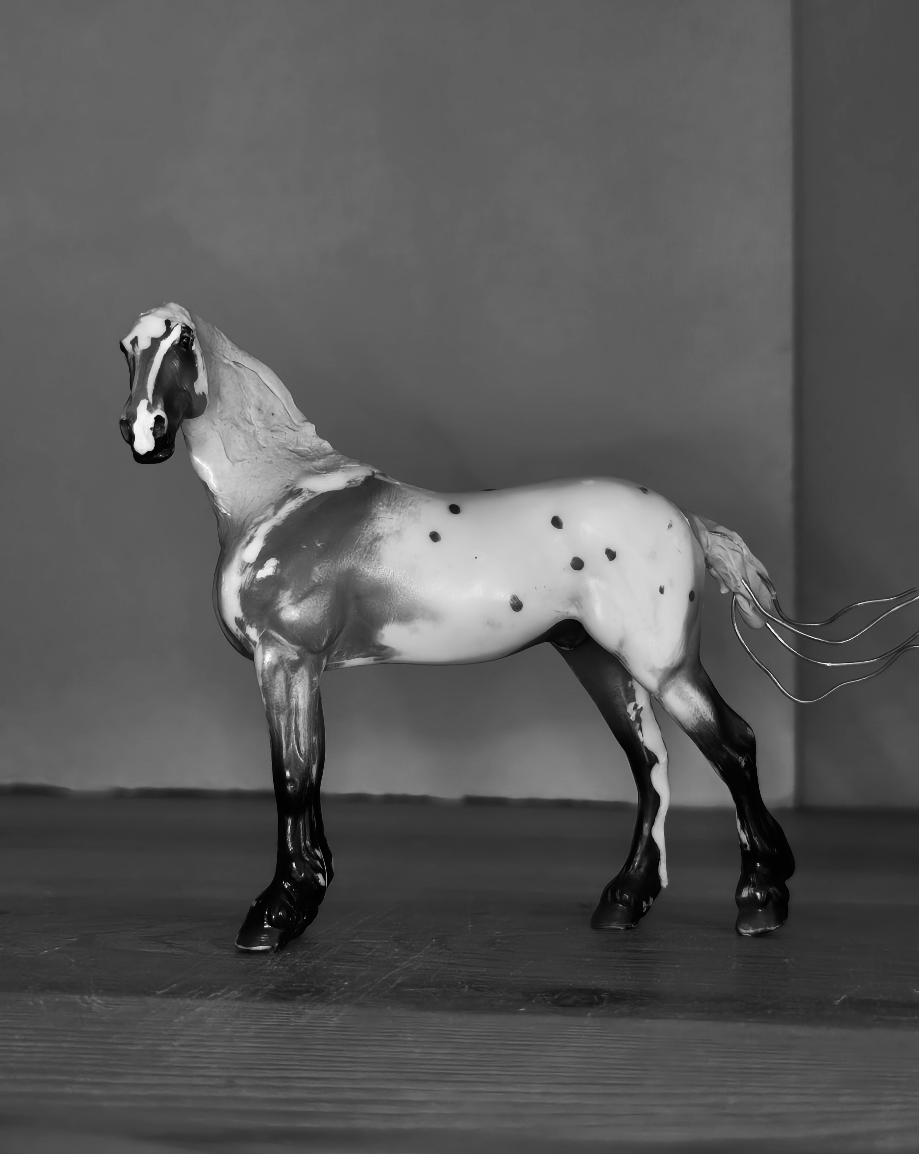 Breyer Stablemate Django
