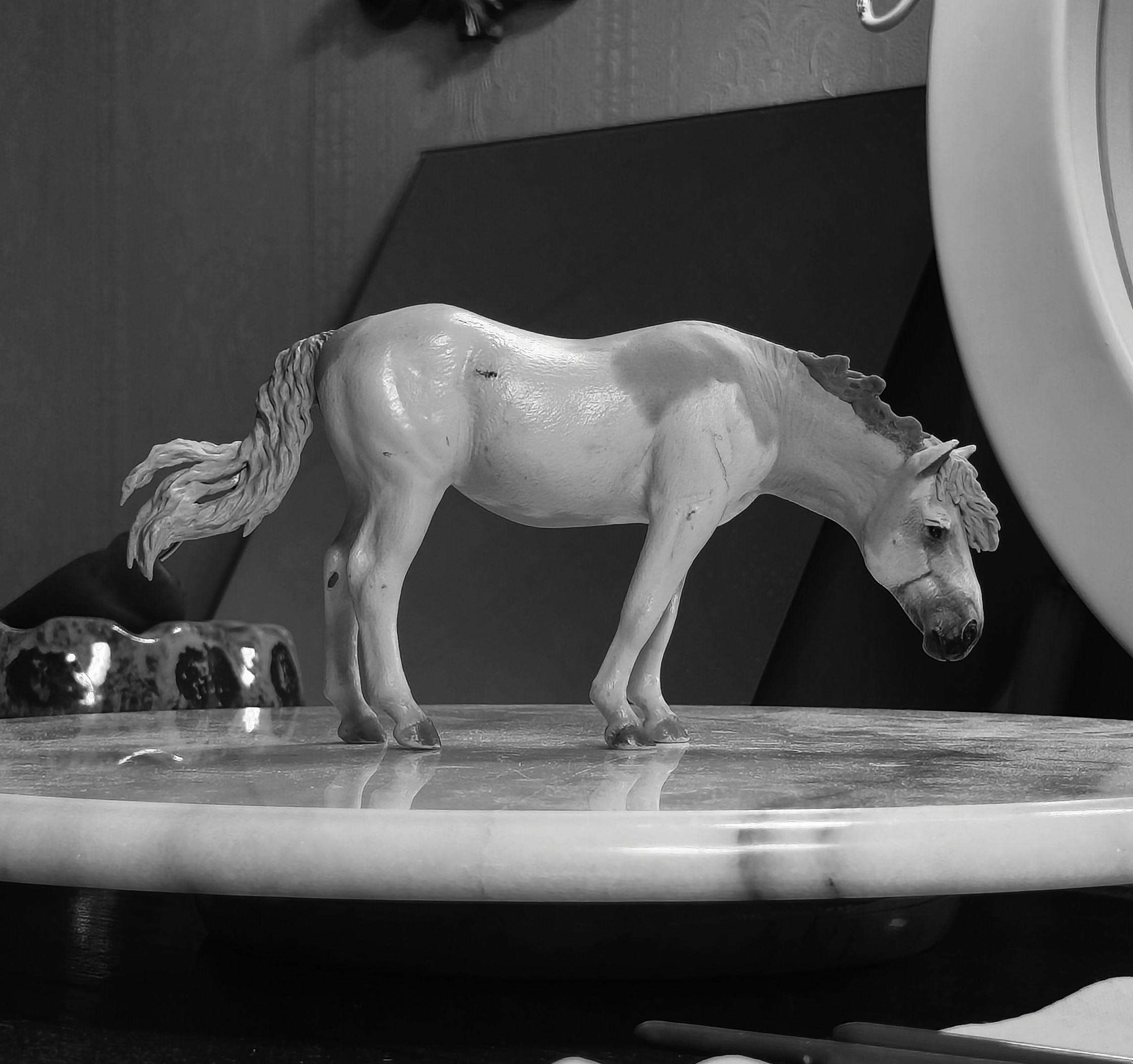 Surprise Horse: Collecta Camargue 