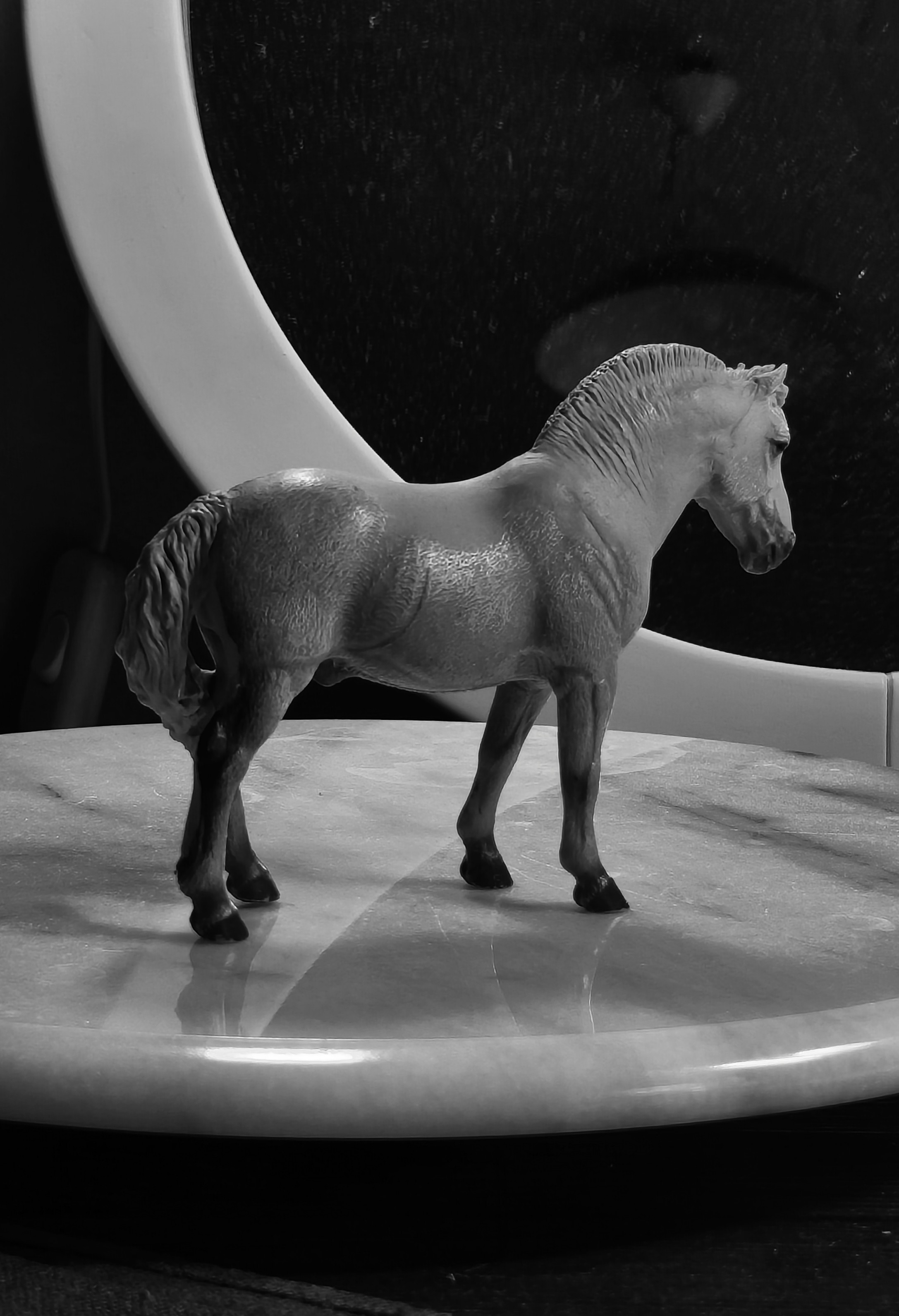 Surprise Horse: Collecta Fjord