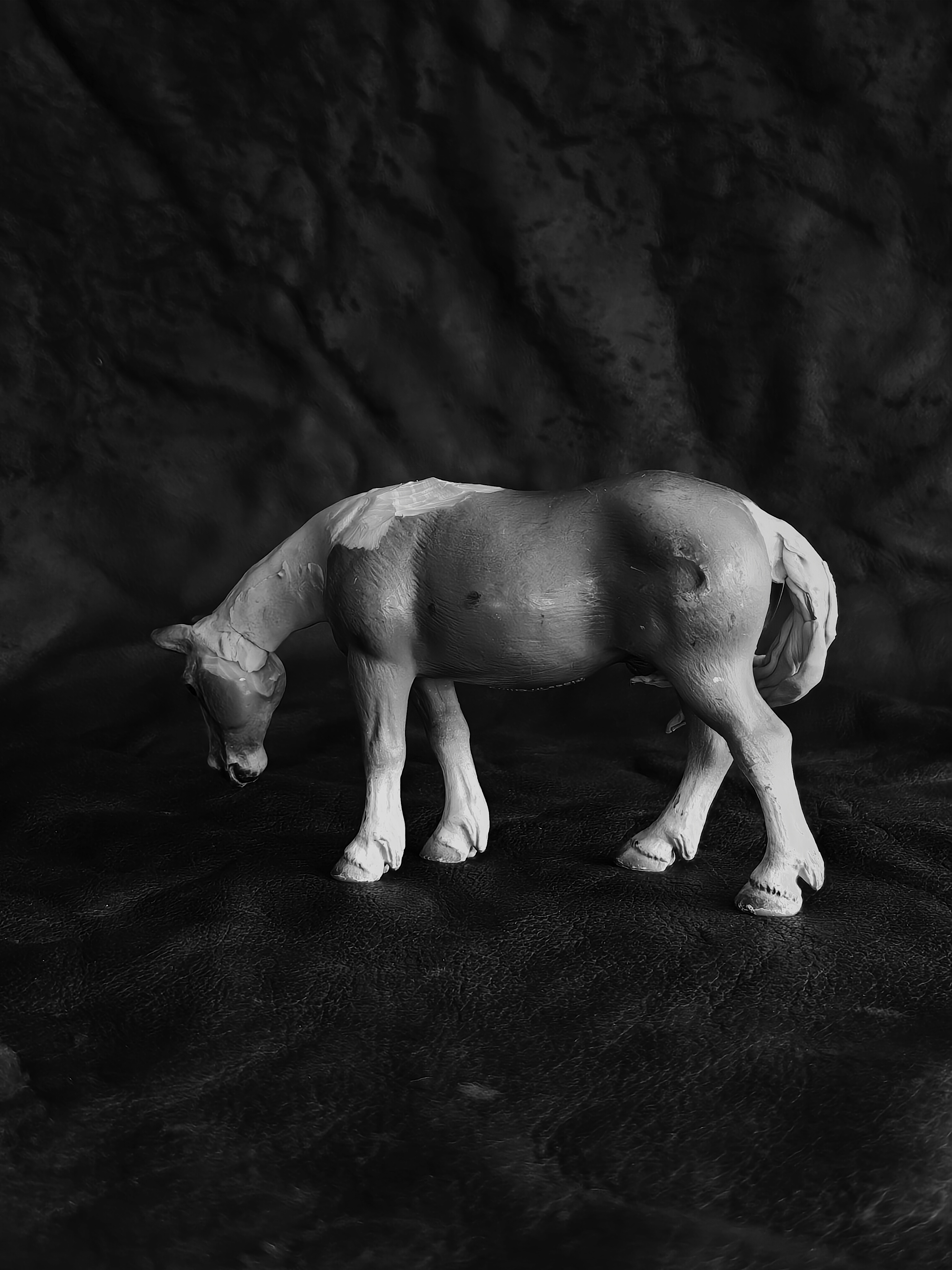 Schleich Haflinger to Grazing Fjord 