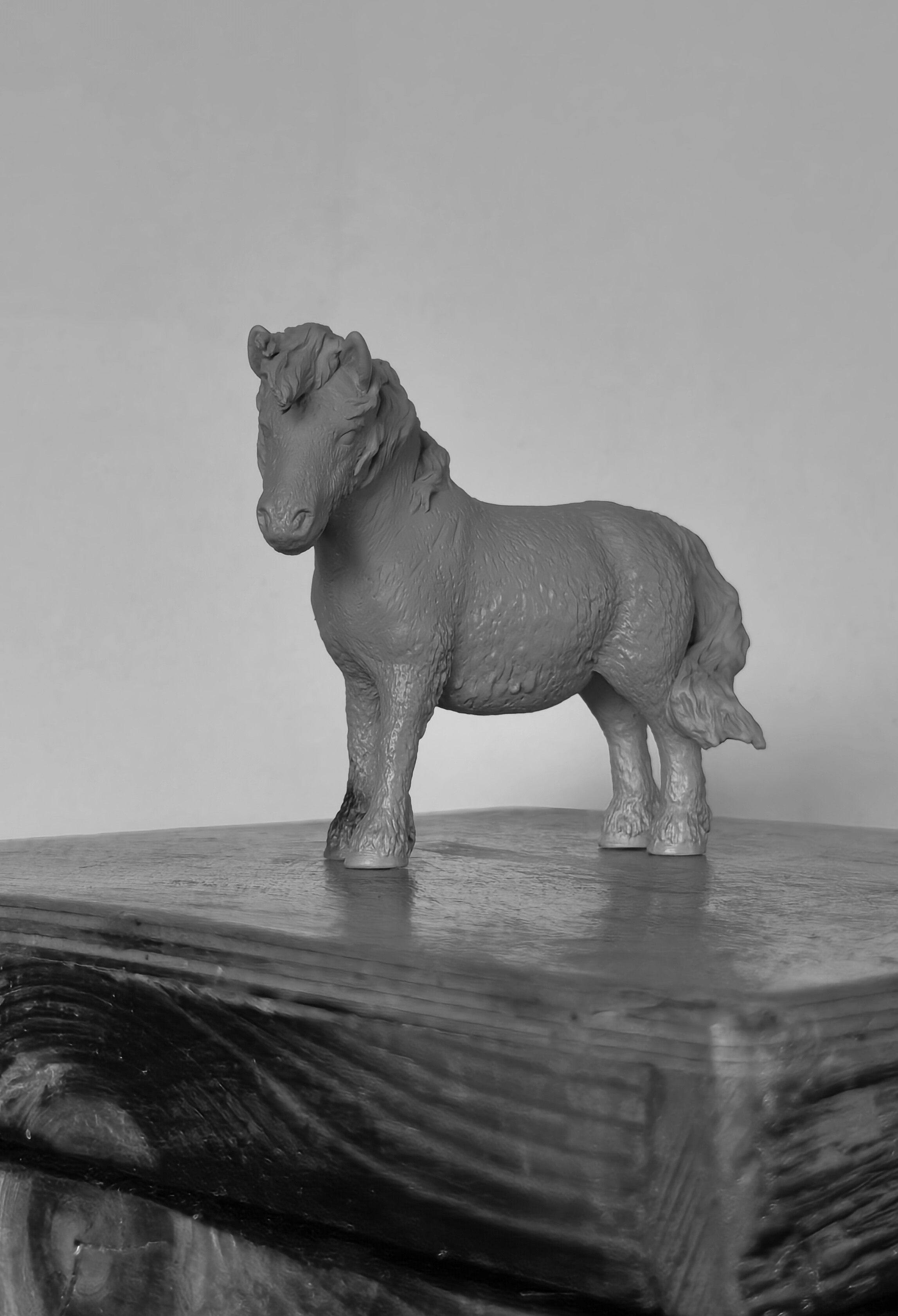 Schleich Shetland