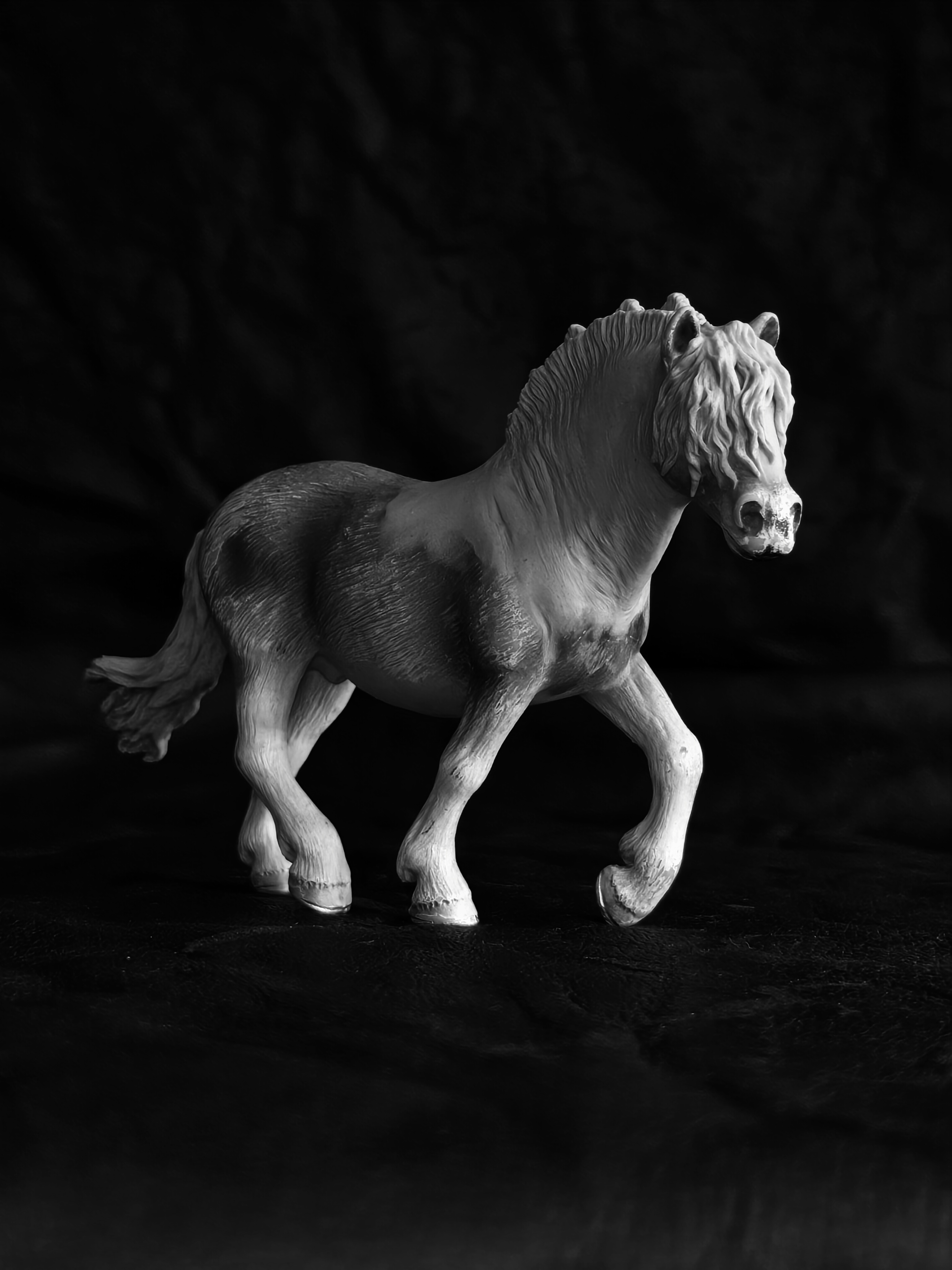 Schleich Haflinger to Fjord Stallion
