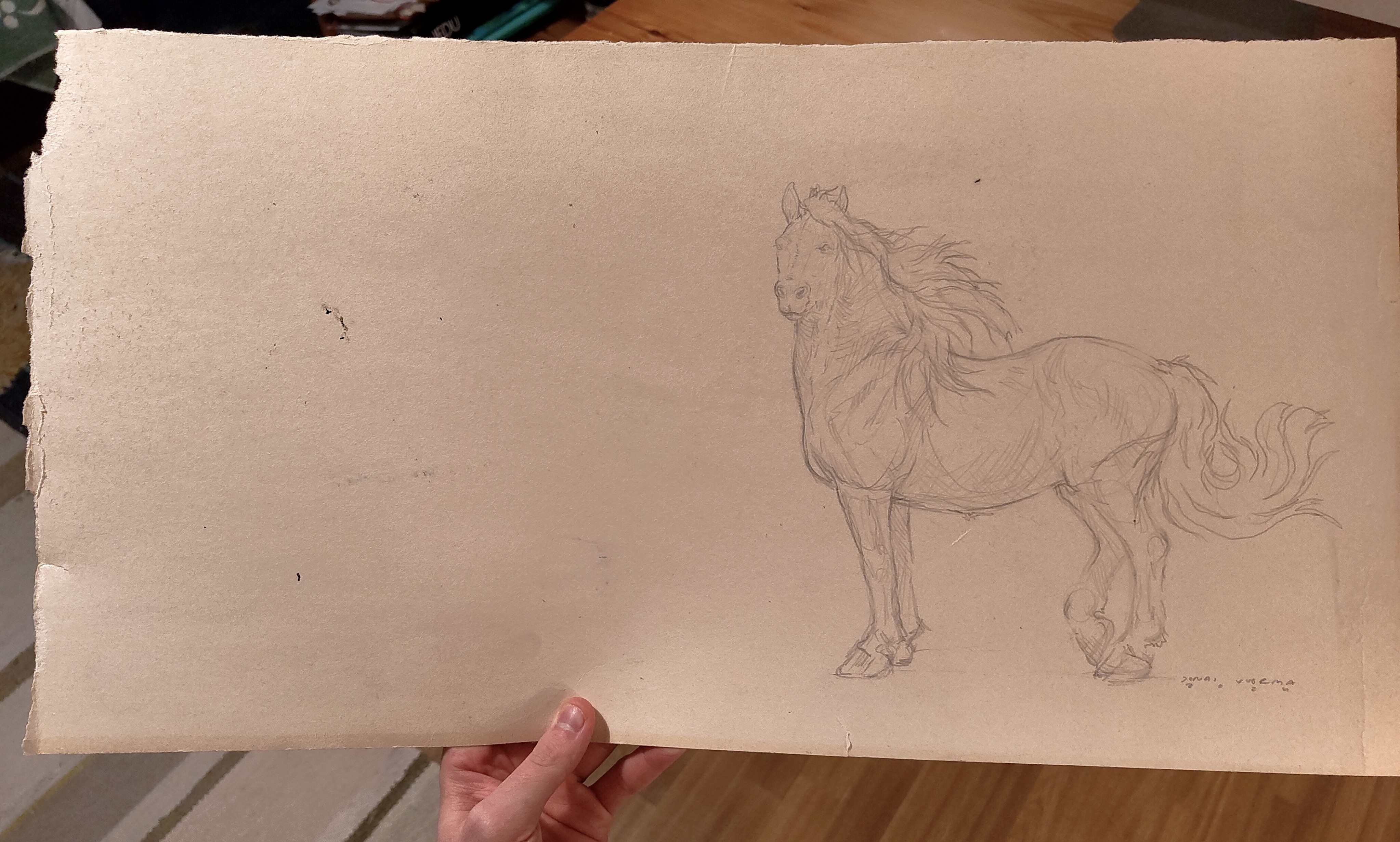 Concept sketch (Bunny custom), 2024, large size