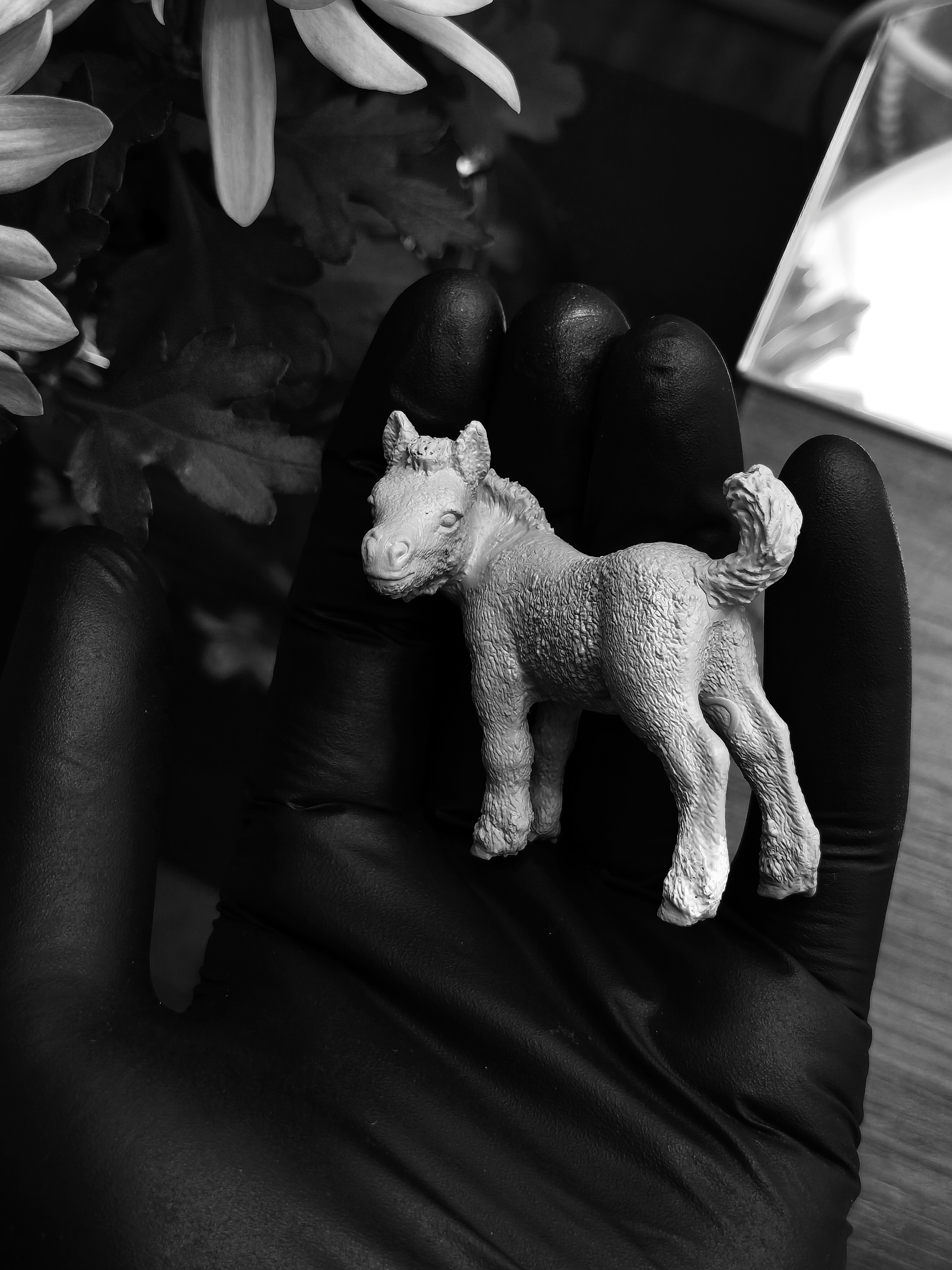 Schleich Shetland Foal