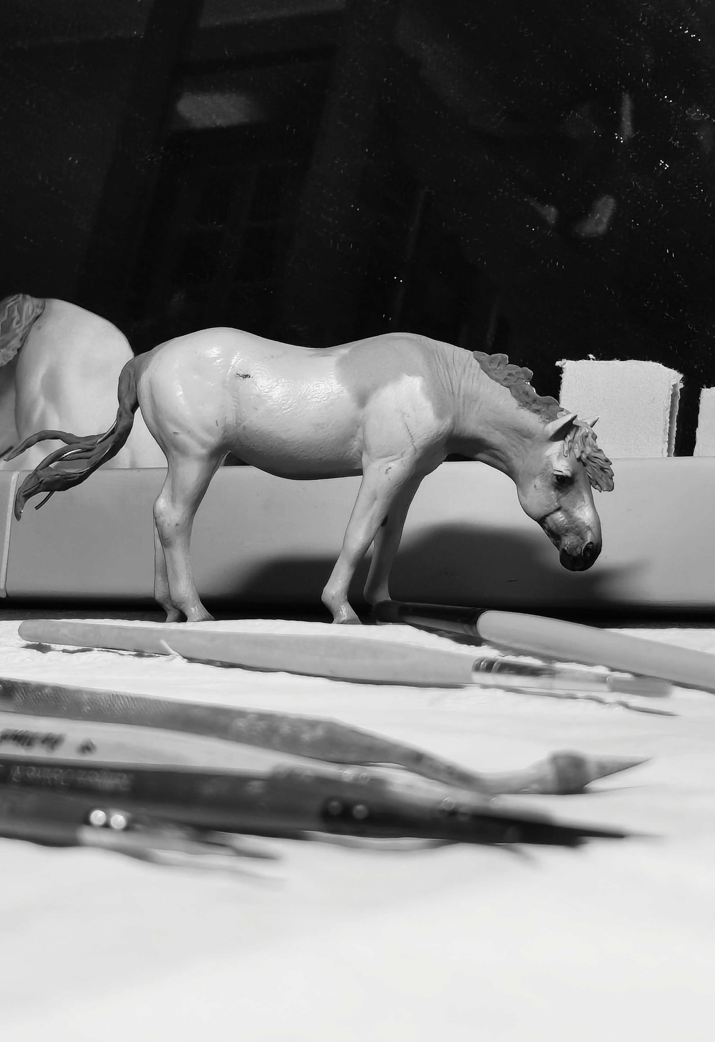 Surprise Horse: Collecta Camargue 