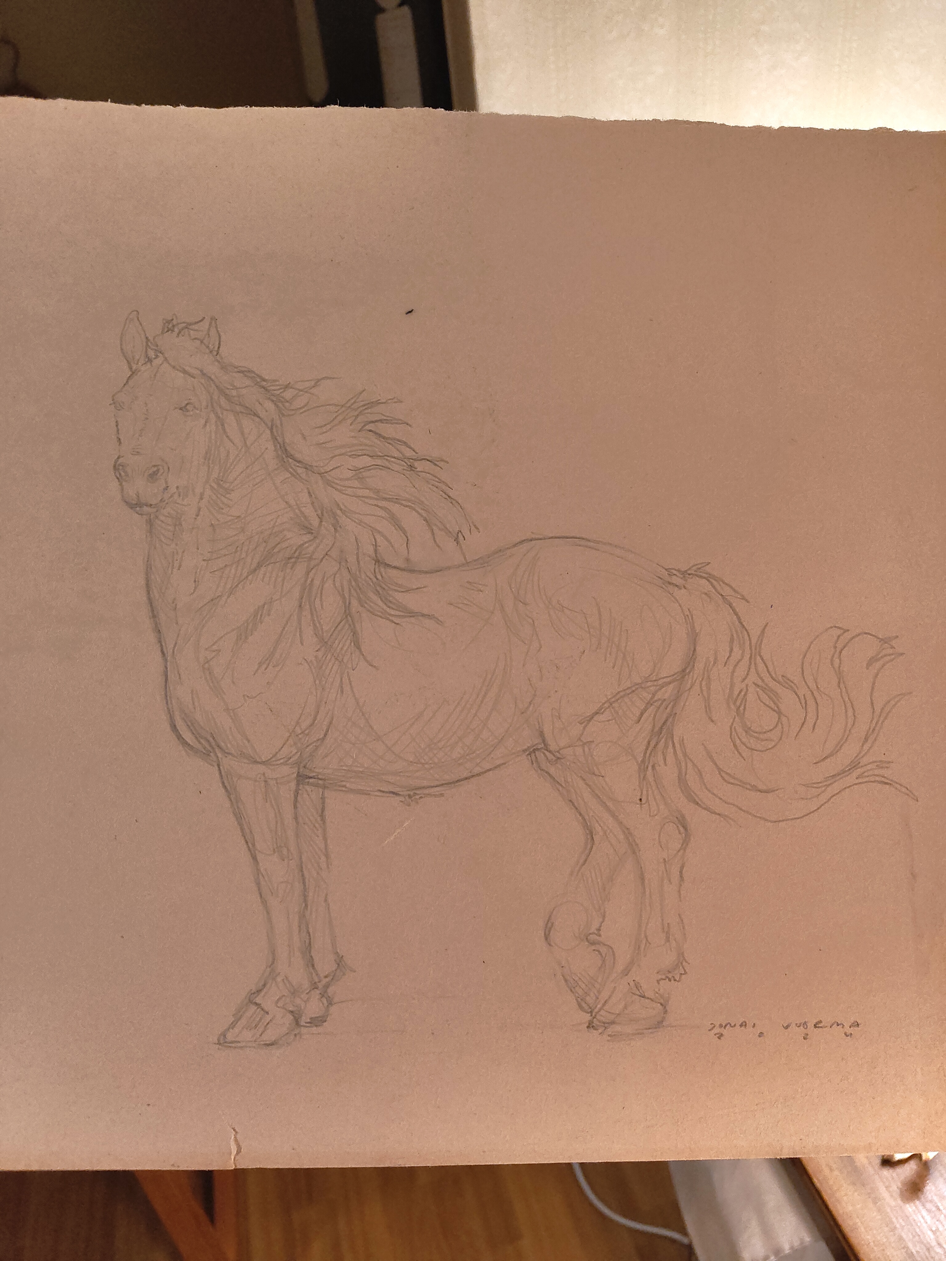 Concept sketch (Bunny custom), 2024, large size