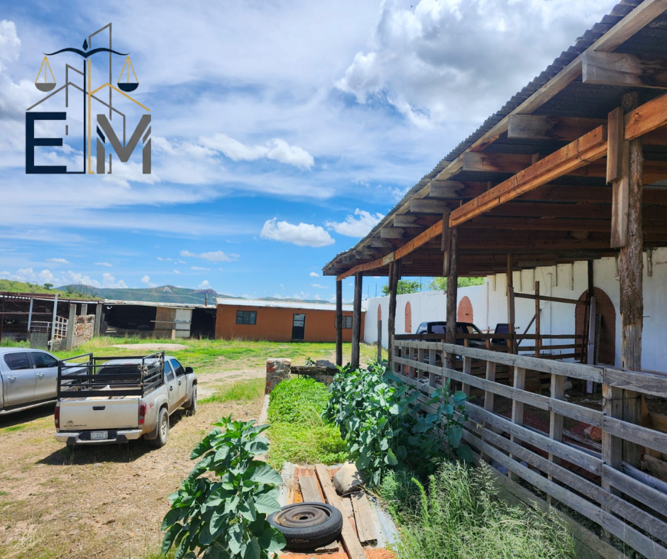 Terreno en ejido Maclovio Herrera