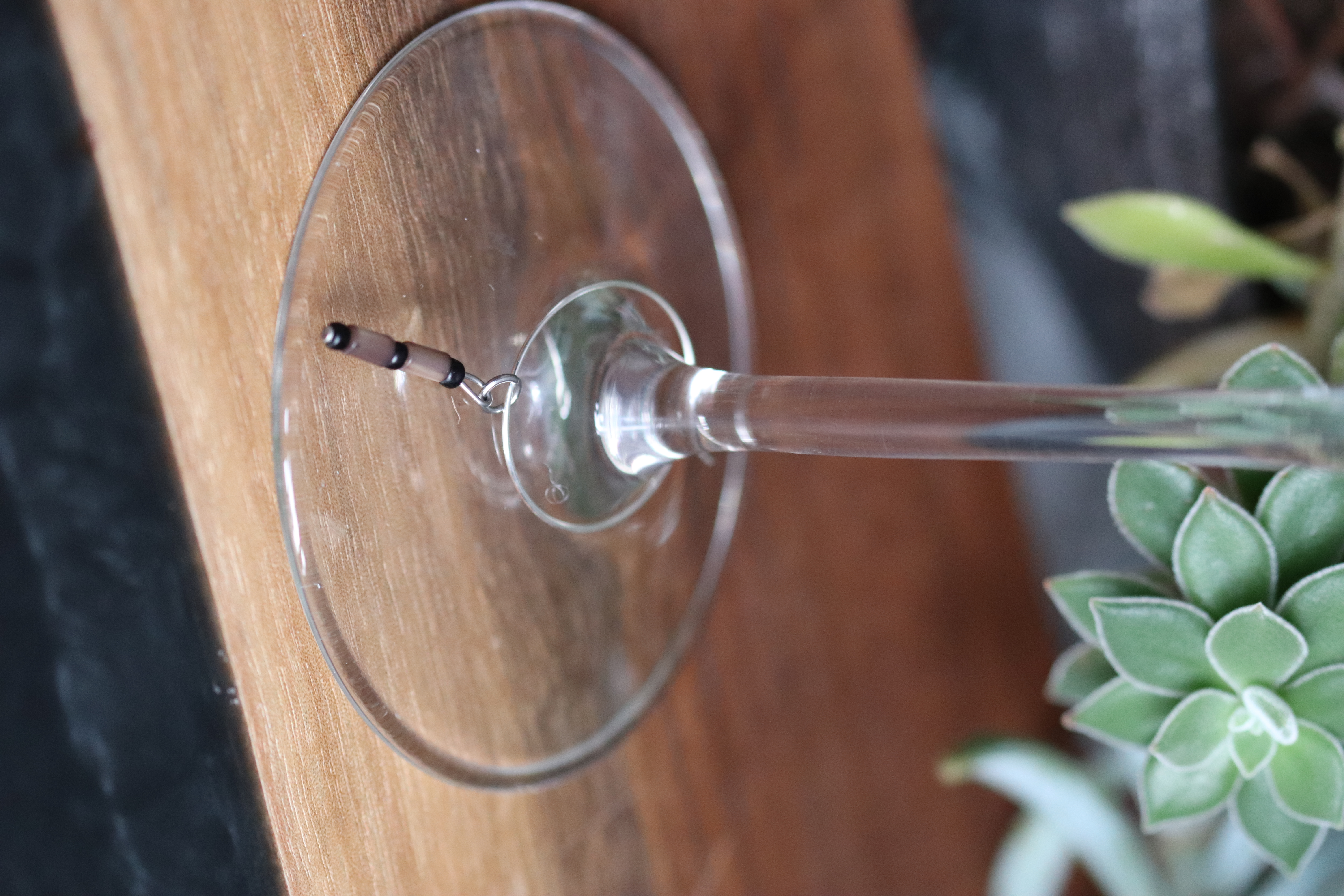 Beautiful Brown Shells Wine Glass Charm called "Stand on my shoulders"