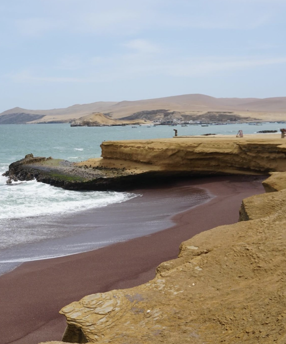 Private Paracas National Reserve Tour