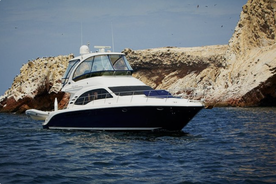 Ballestas Island PRIVATE Tour (7 passengers max)