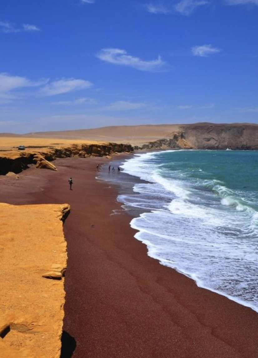 Private Paracas National Reserve Tour