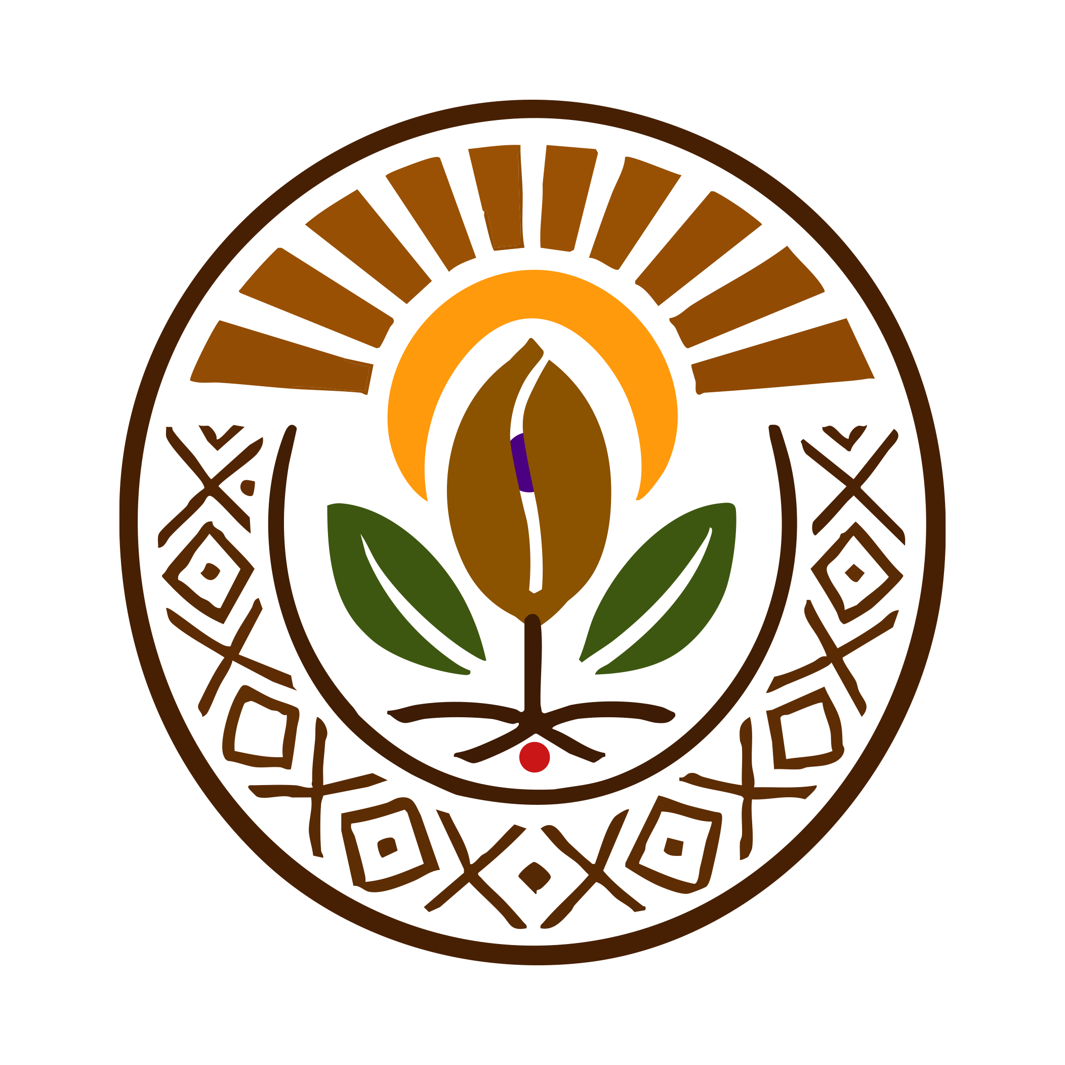 Arunachal Robusta Naturals –CXR