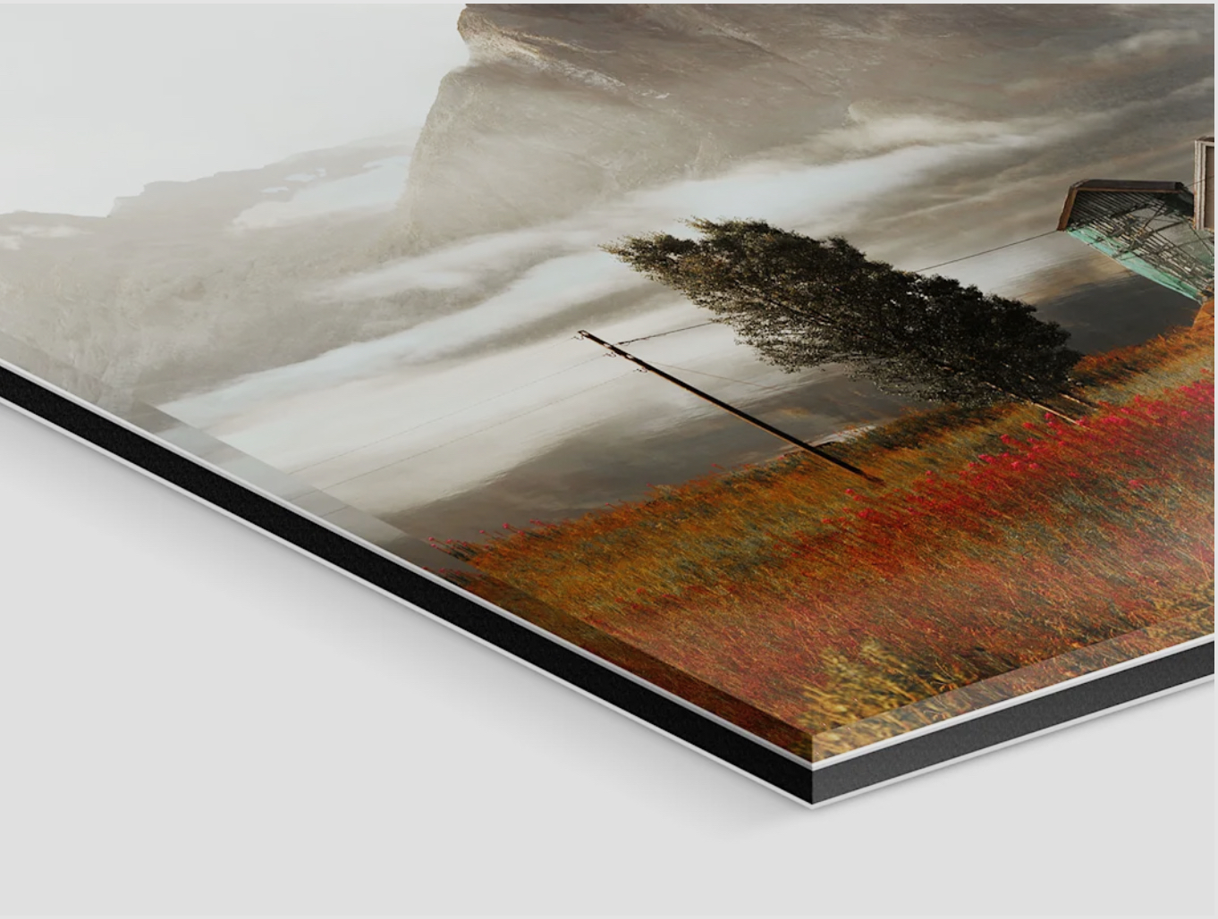 The Queen Of The Tetons 