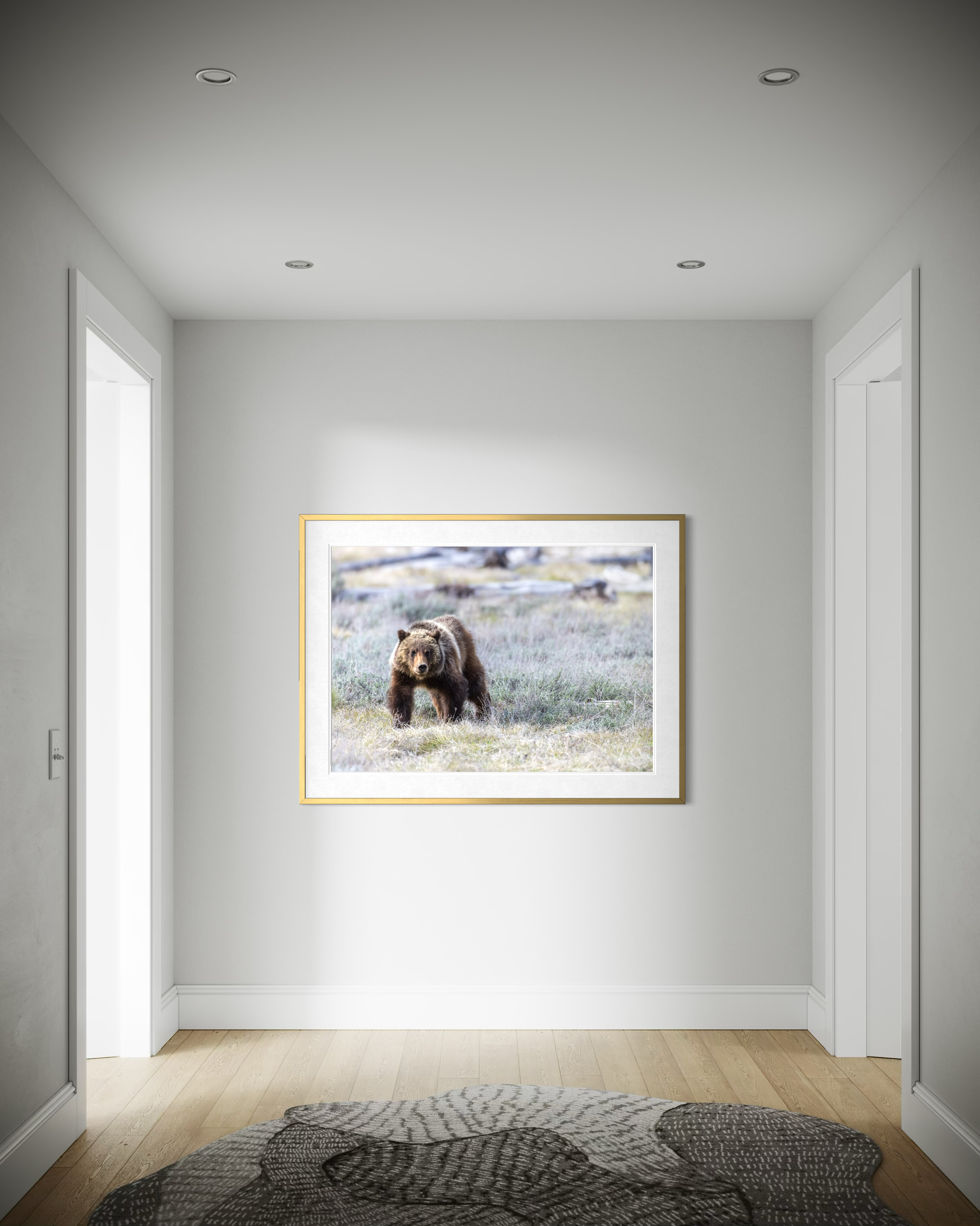 Grizzly Bear 399 with Sprit