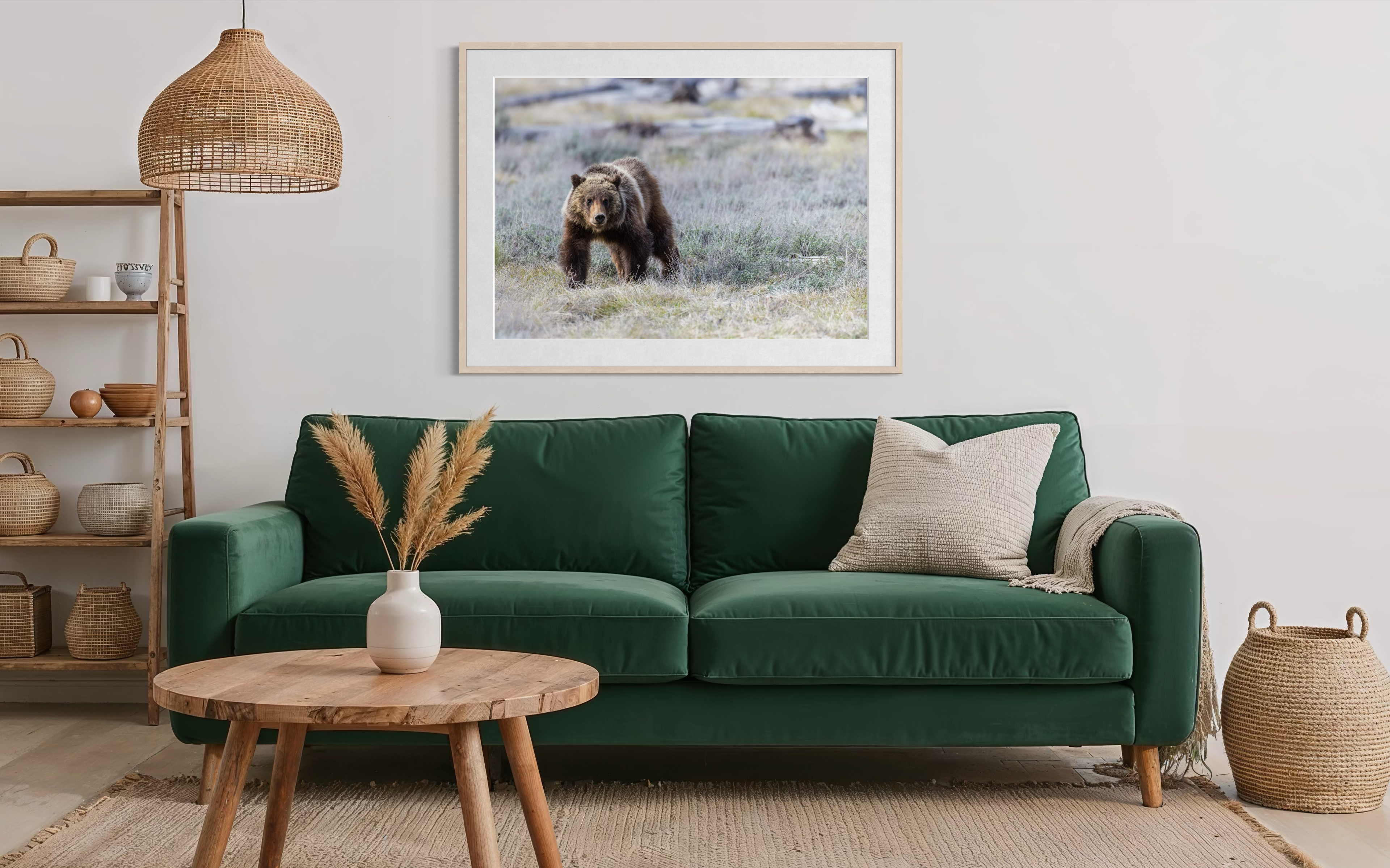 Grizzly Bear 399 with Sprit