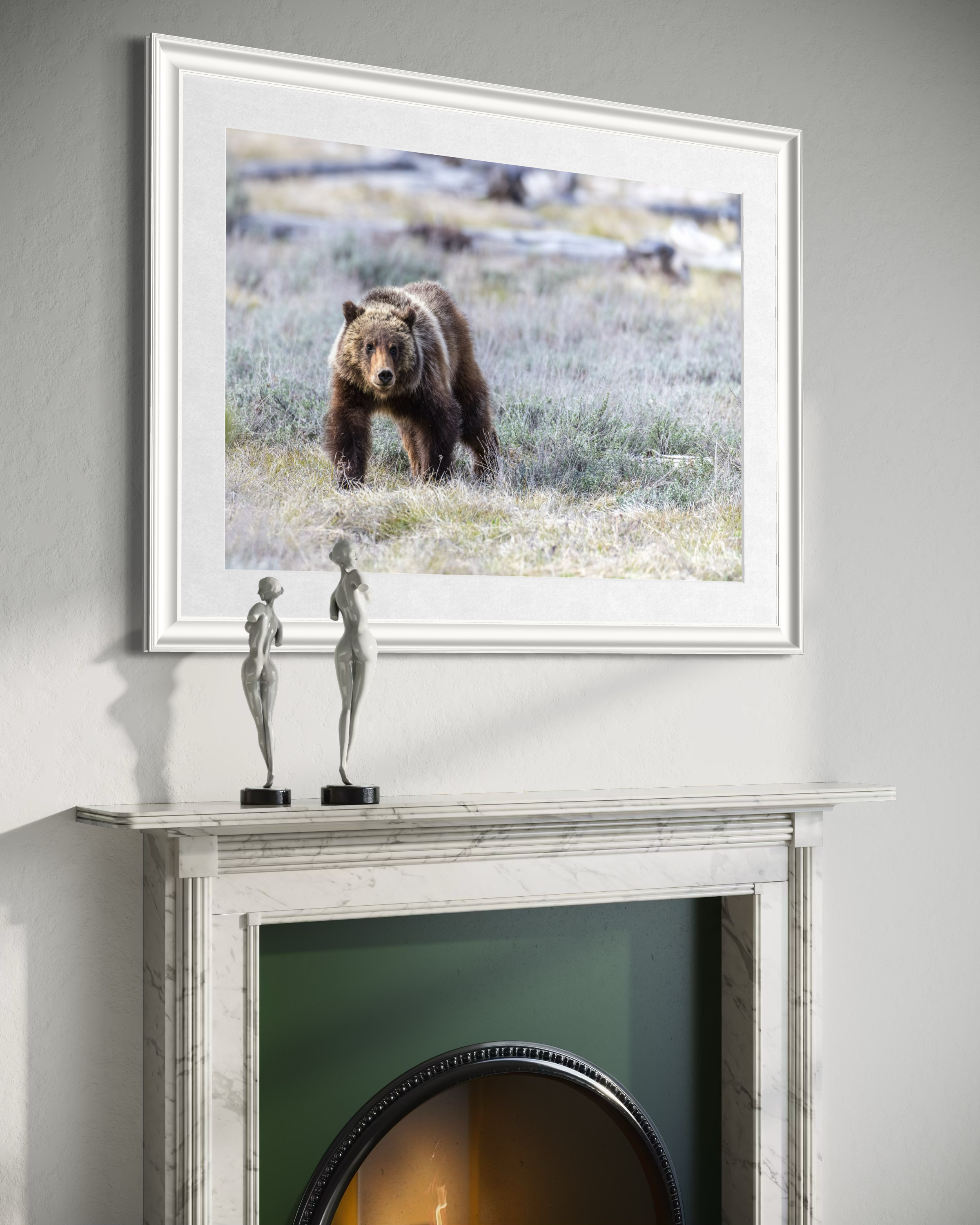 Grizzly Bear 399 with Sprit