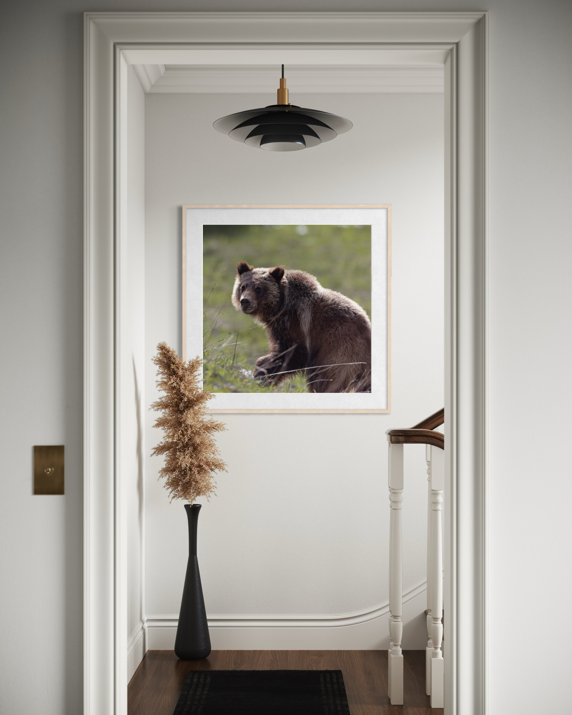 Spirit Grizzly Bear 399 Cub