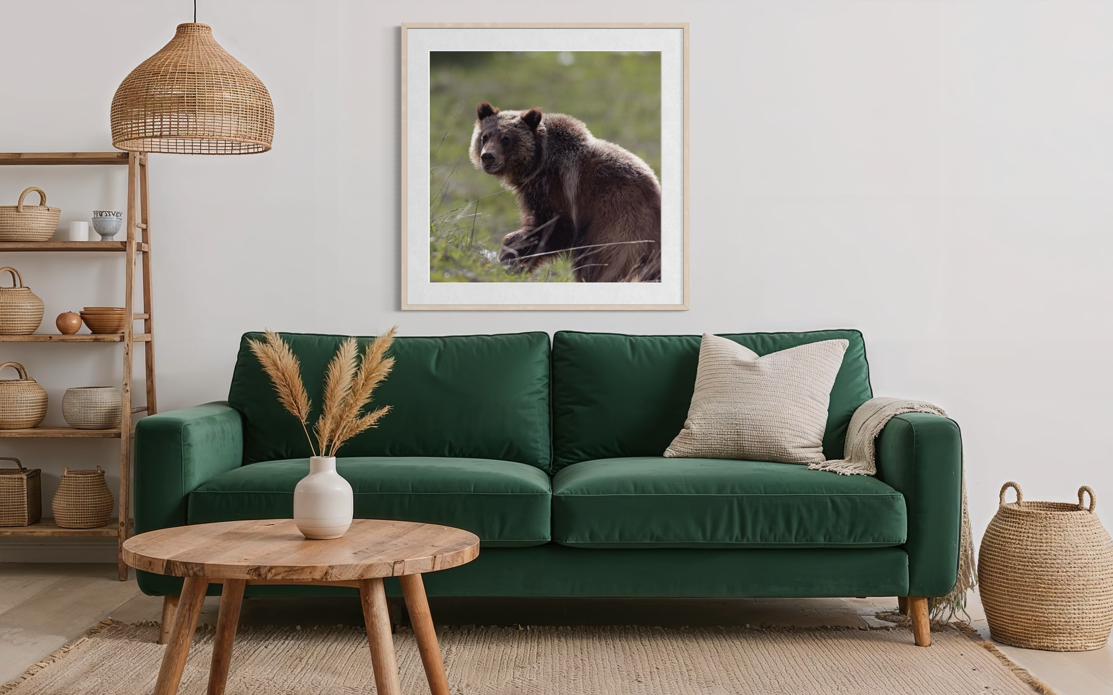 Spirit Grizzly Bear 399 Cub