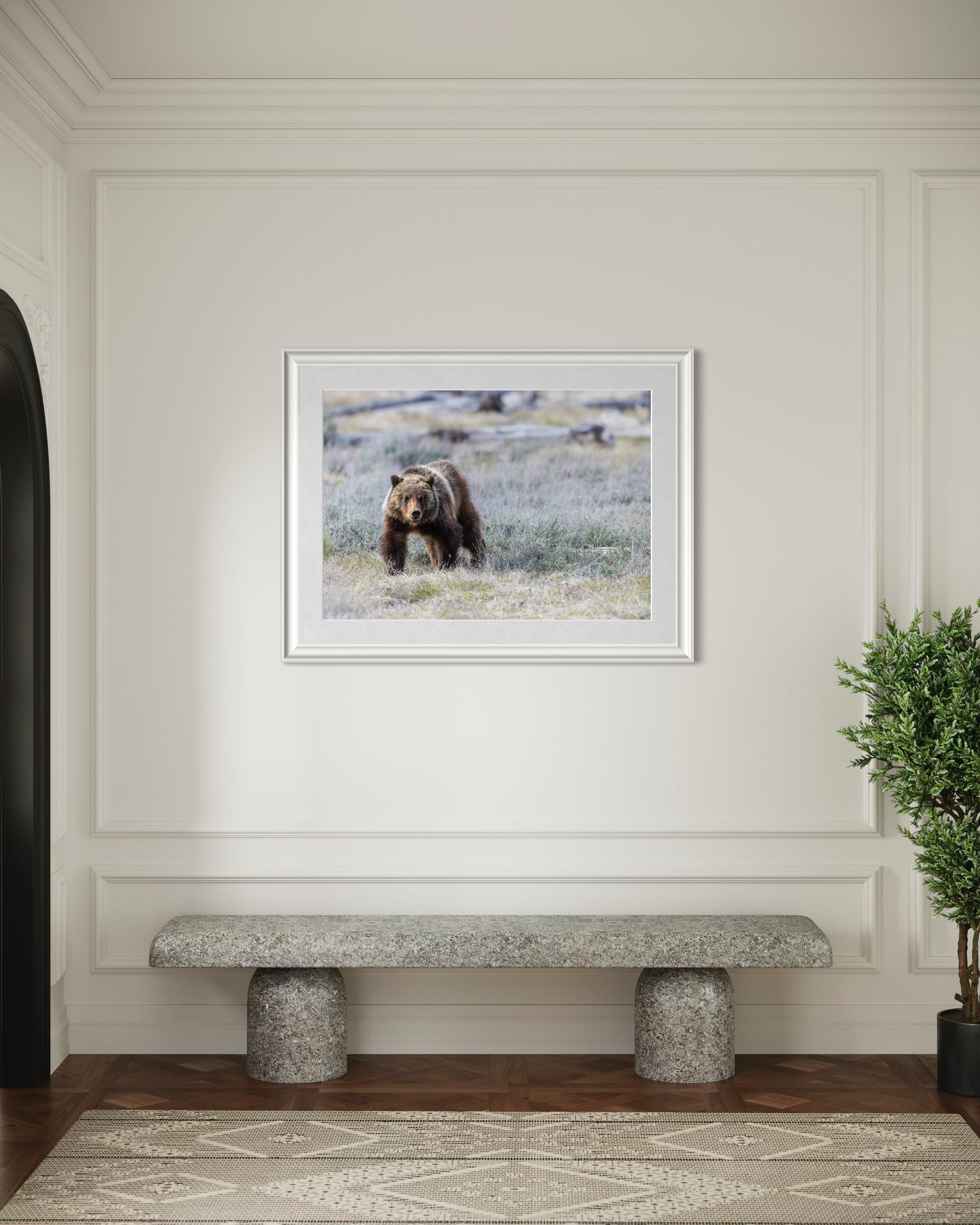 Grizzly Bear 399 with Sprit