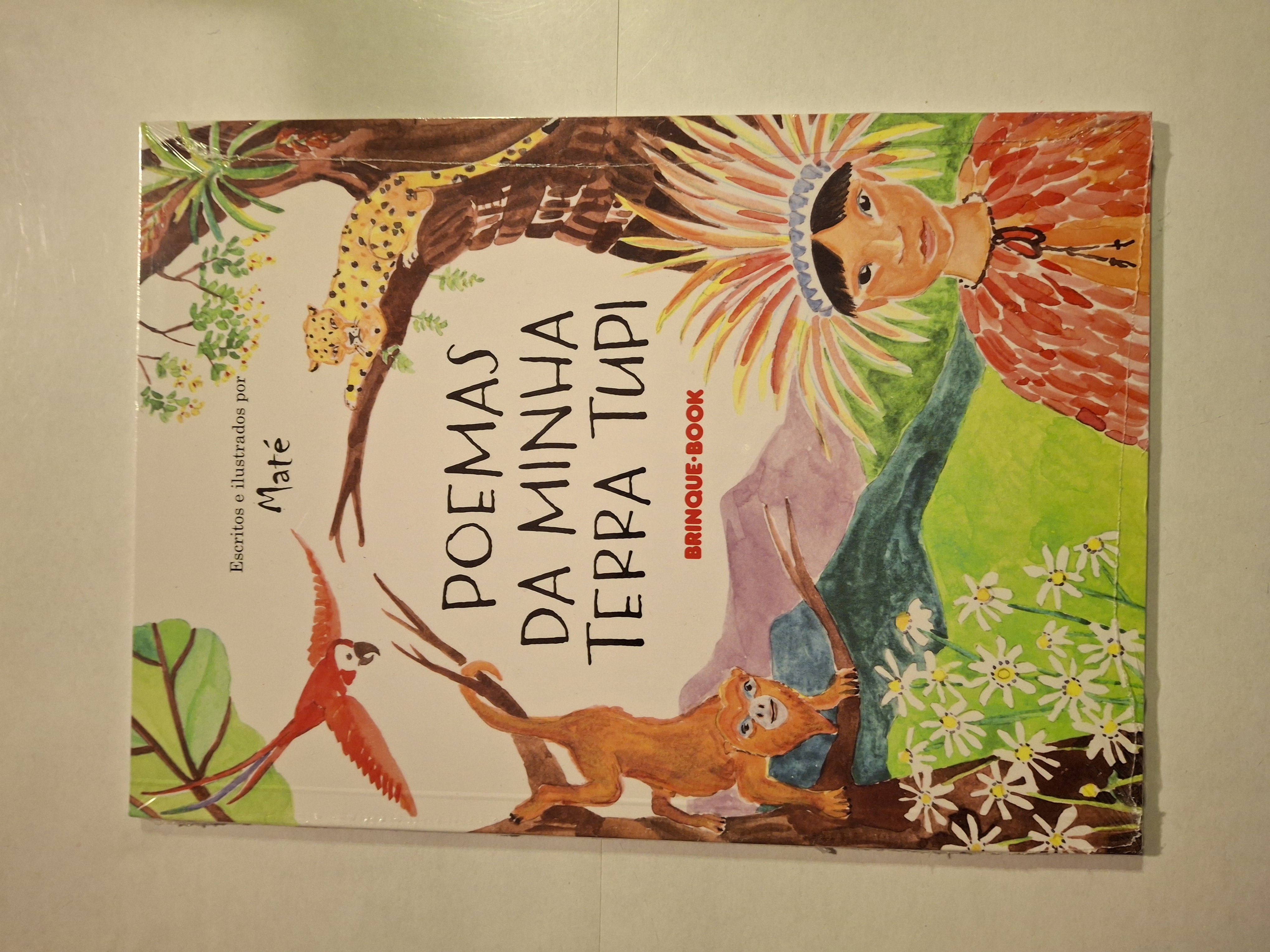 Poemas da minha Terra