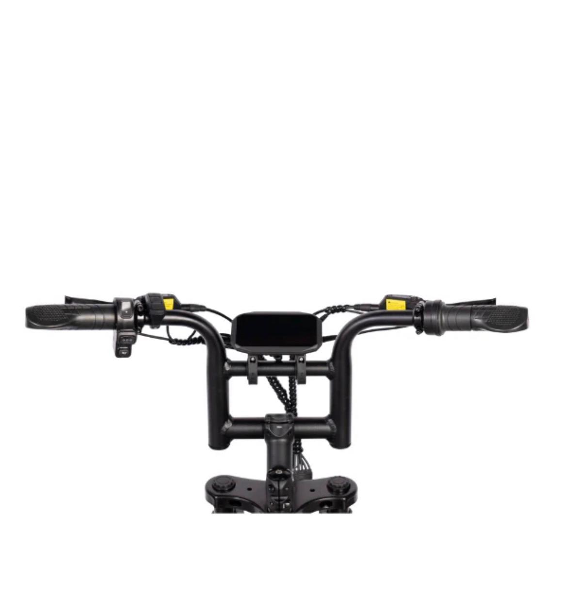 Fatbike V20 pro Mini  hydraulische remmen kleur zwart 