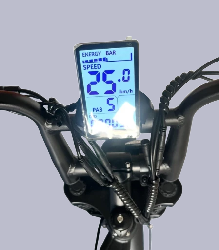 Dit M5-scherm heeft geen codes en is voor V8 H9 fatbike - LCD-scherm