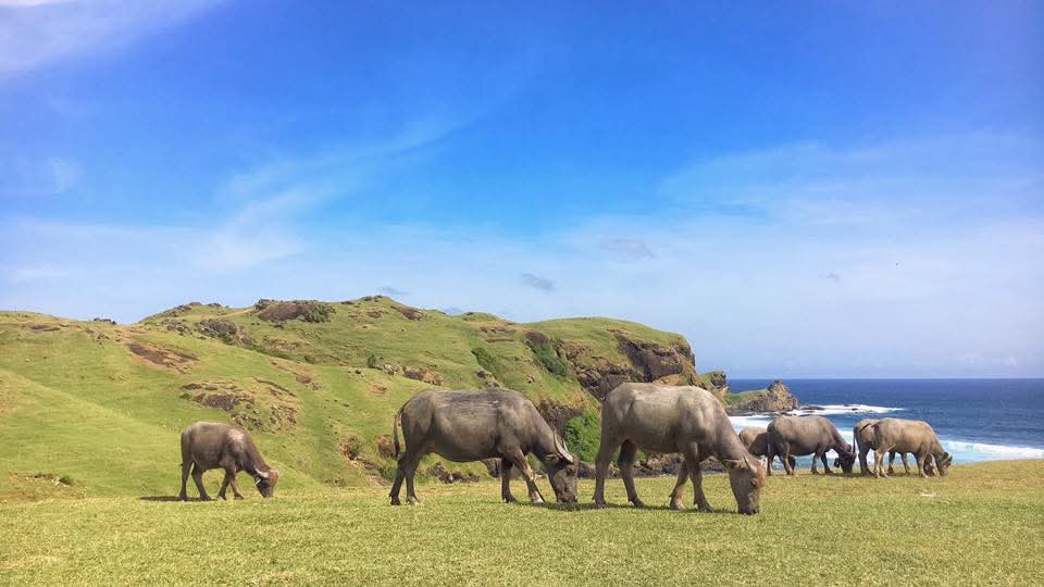 Paket Tour Lombok 2 Hari 1 Malam (A) Gili Trawangan