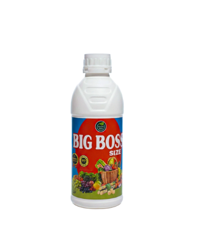 BIG BOSS SIZE – Natural Power Booster for Fruit Setting