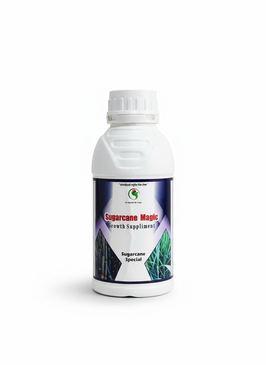 Sugarcane Magic