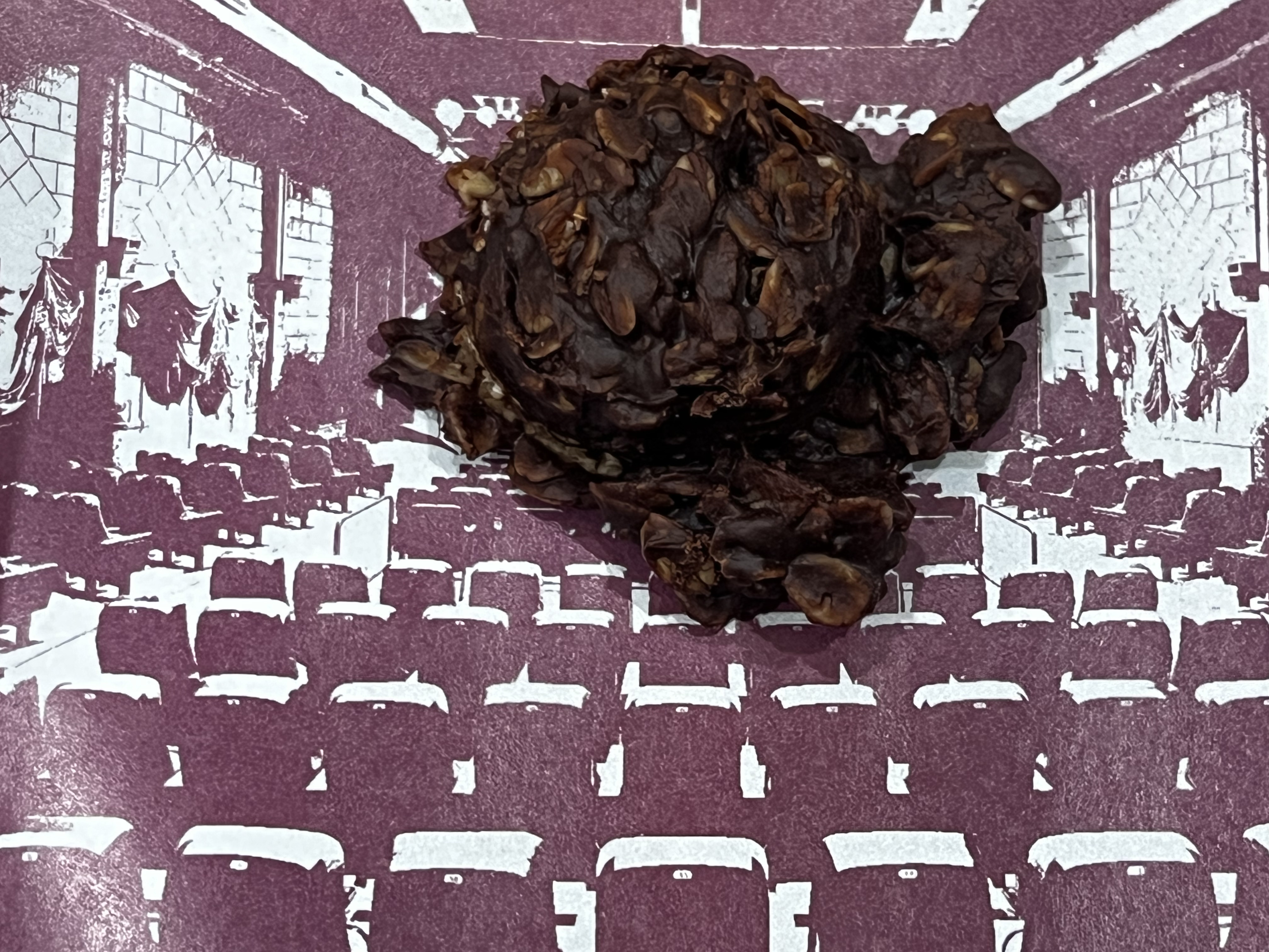 Humpty Dumpty's Lumpy Cookies