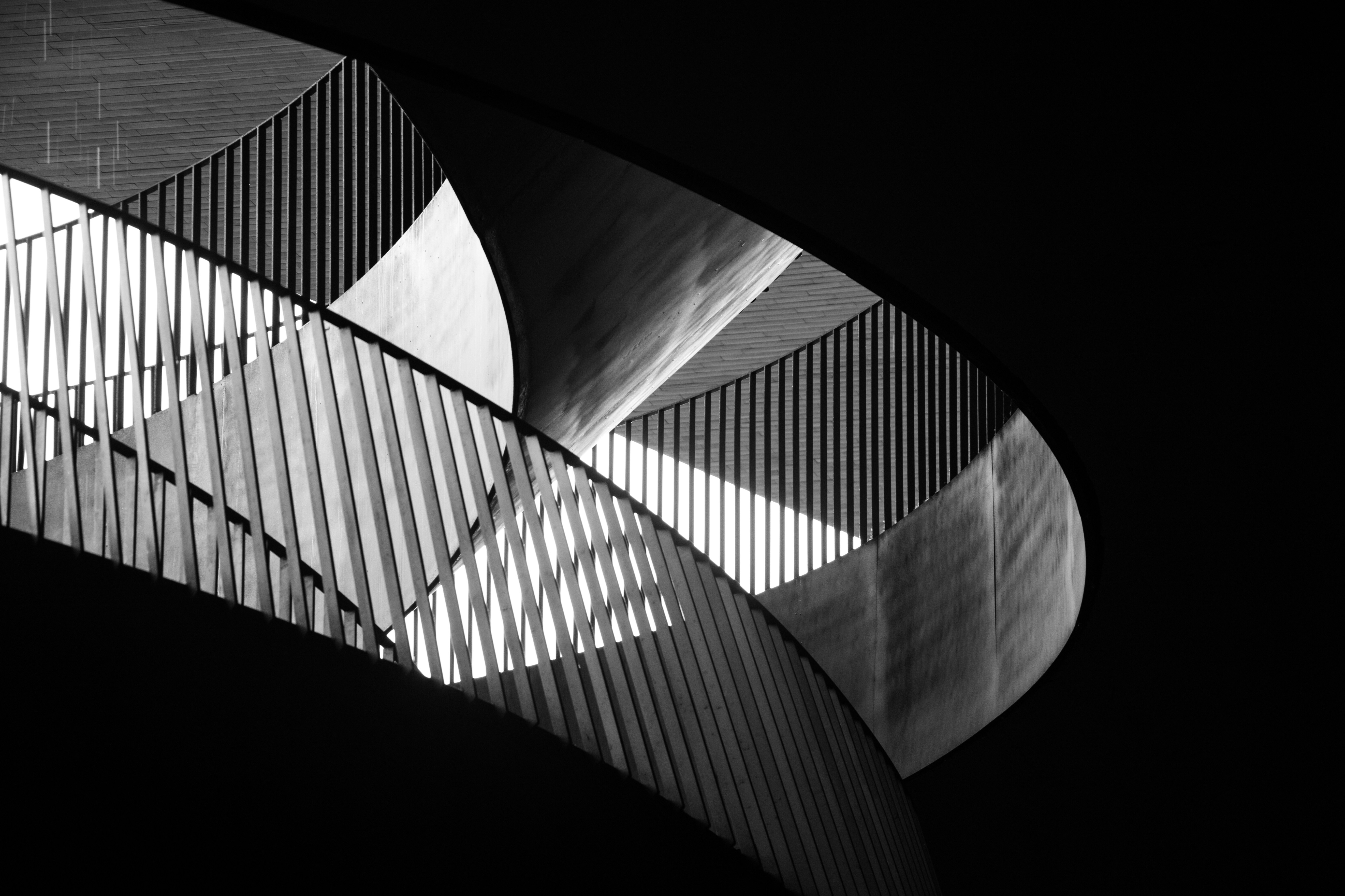 The Growth Blueprint 