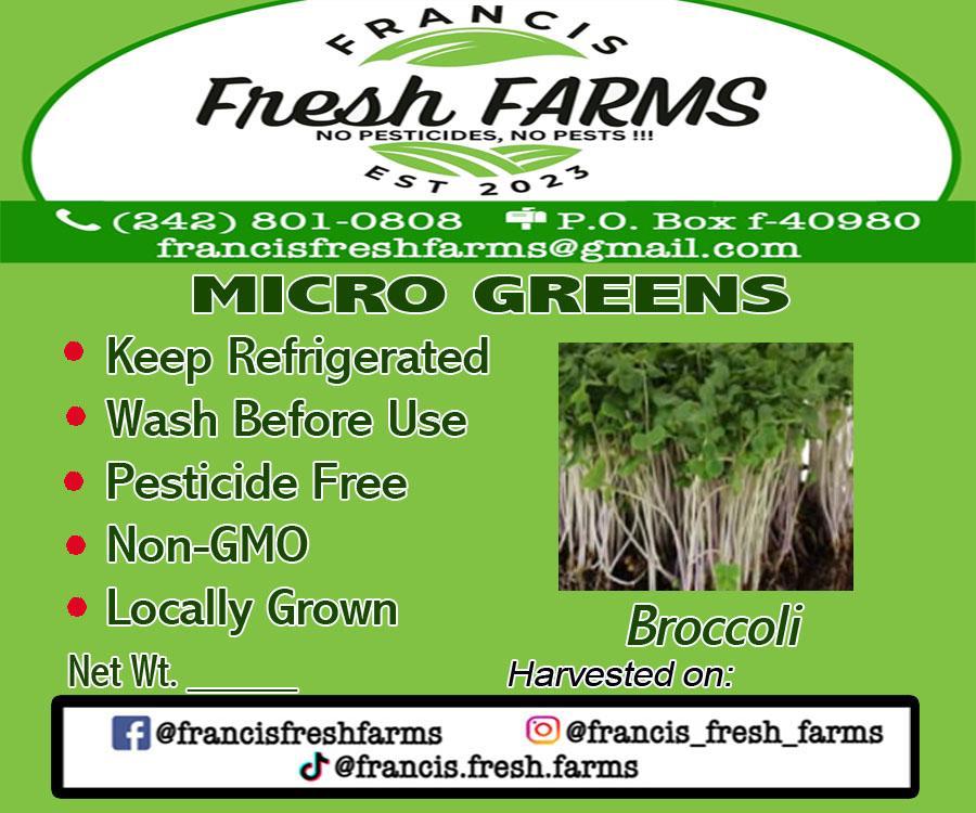 Microgreens - Broccoli
