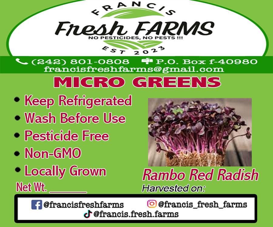 Rambo Red Radish Microgreens