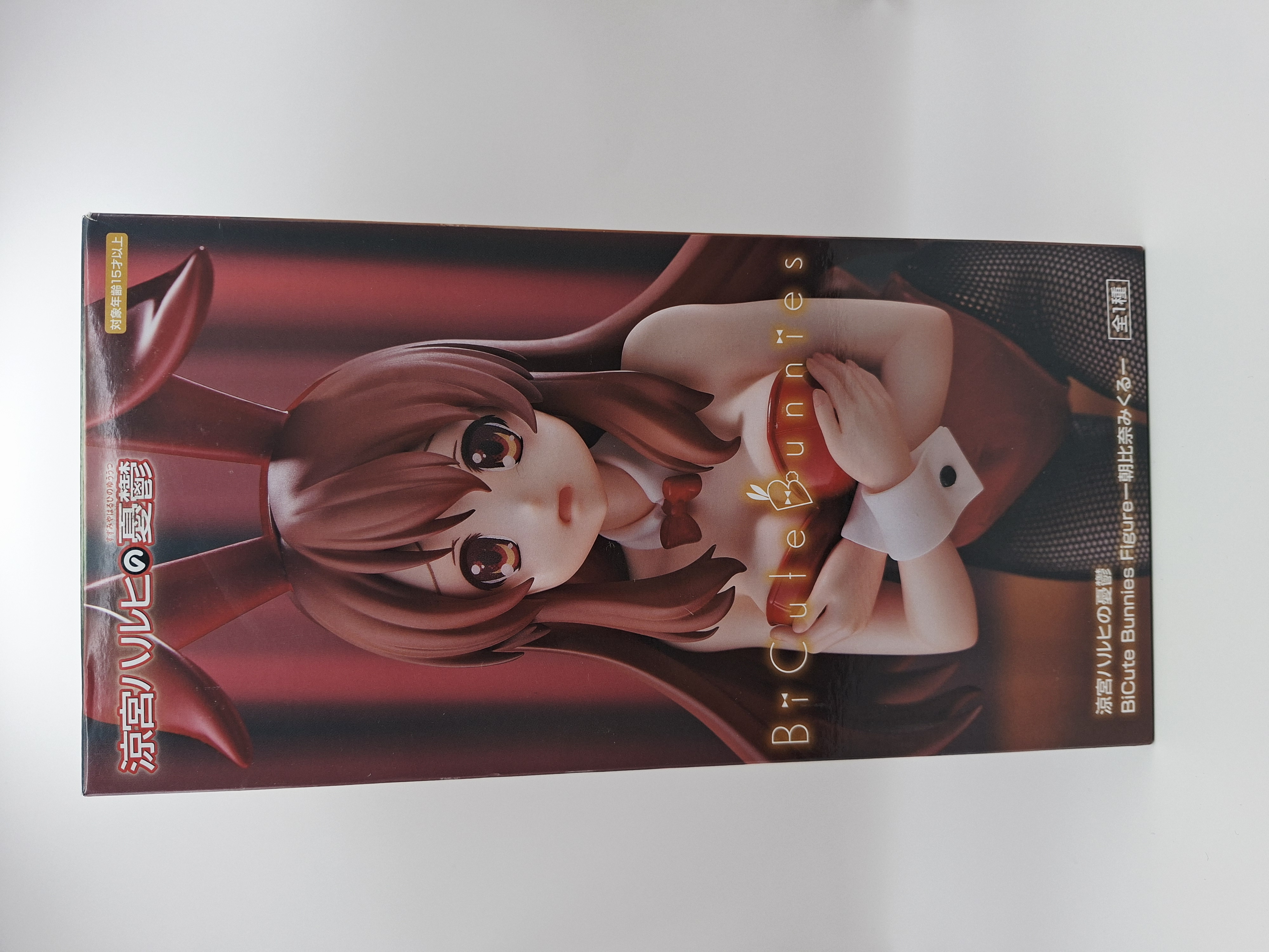 Figura Mikuro Asahina Bunny Girl