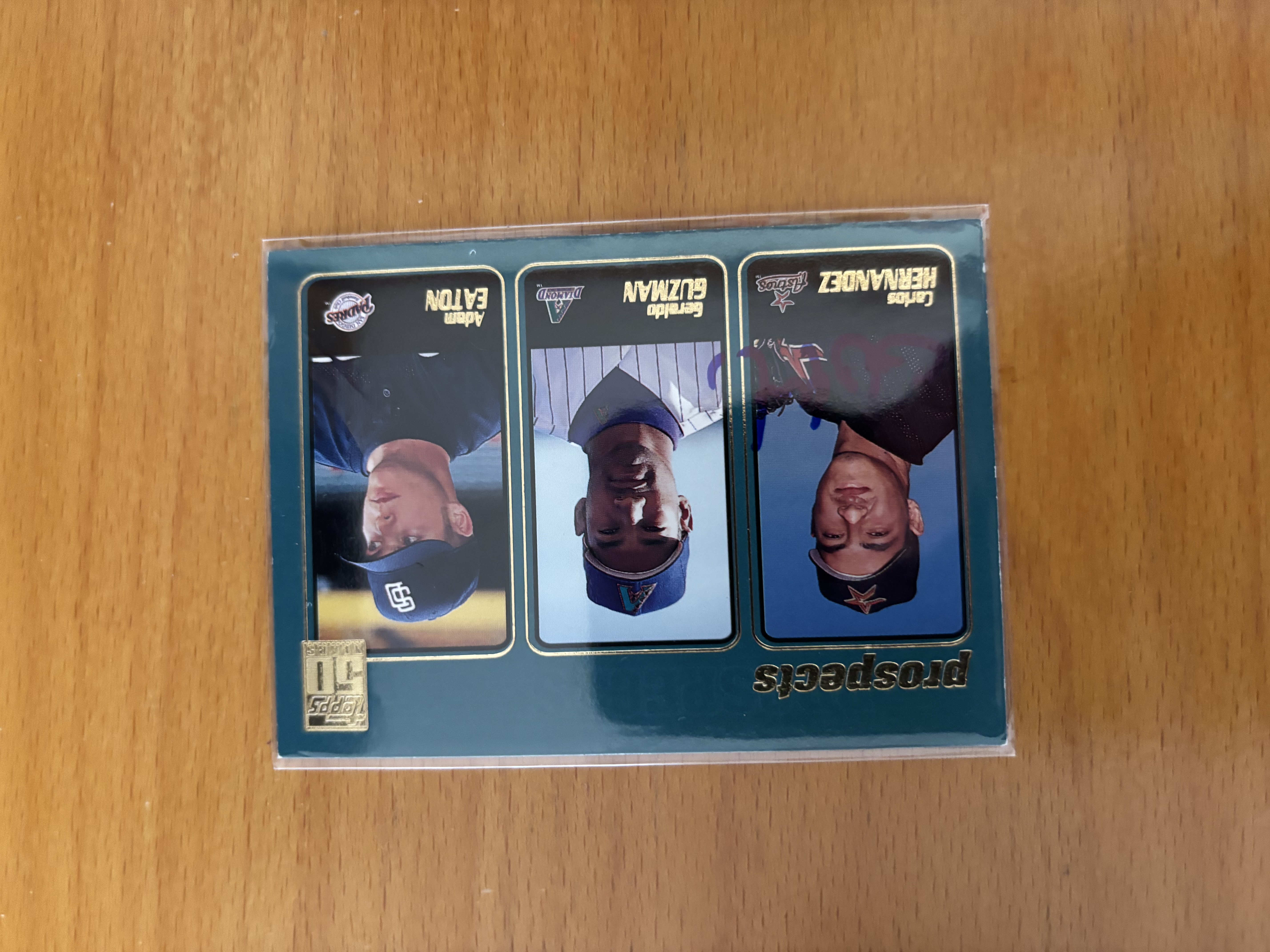 1995 Upper Deck Minor League Prospects Baseball Card