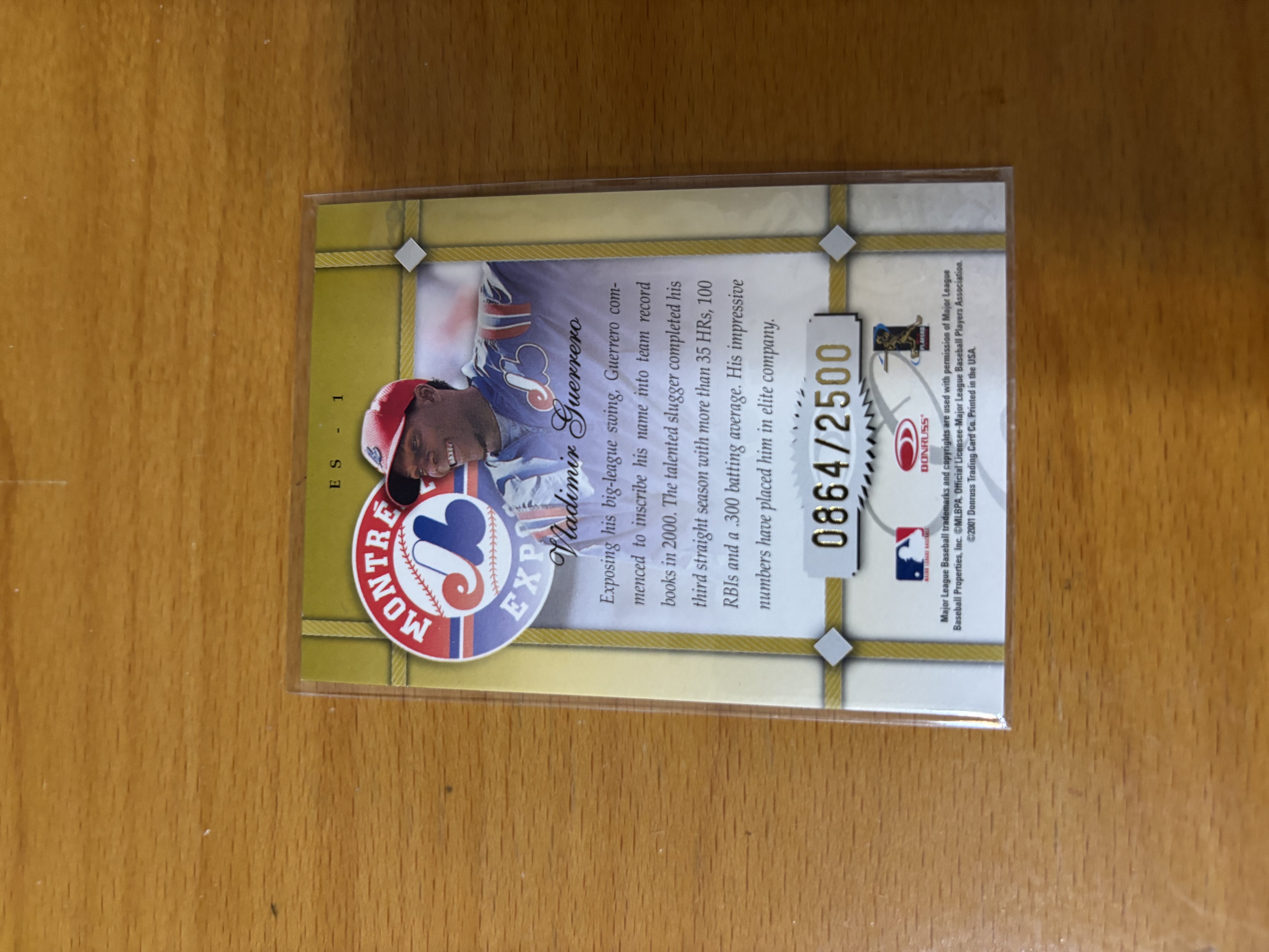 Vladimir Guerrero Montreal Expos Baseball Card