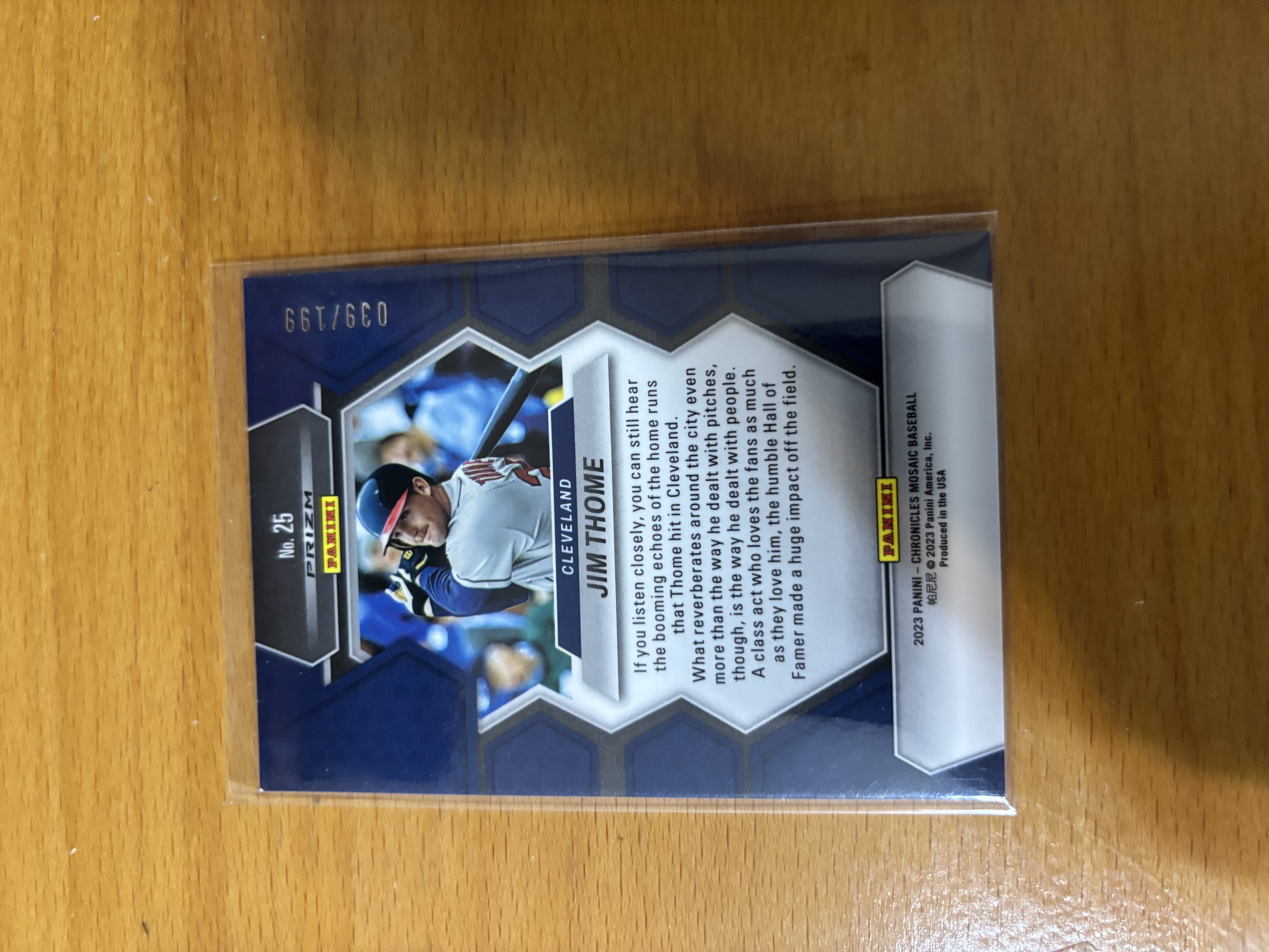 Jim Thome Panini Baseball Trading Card