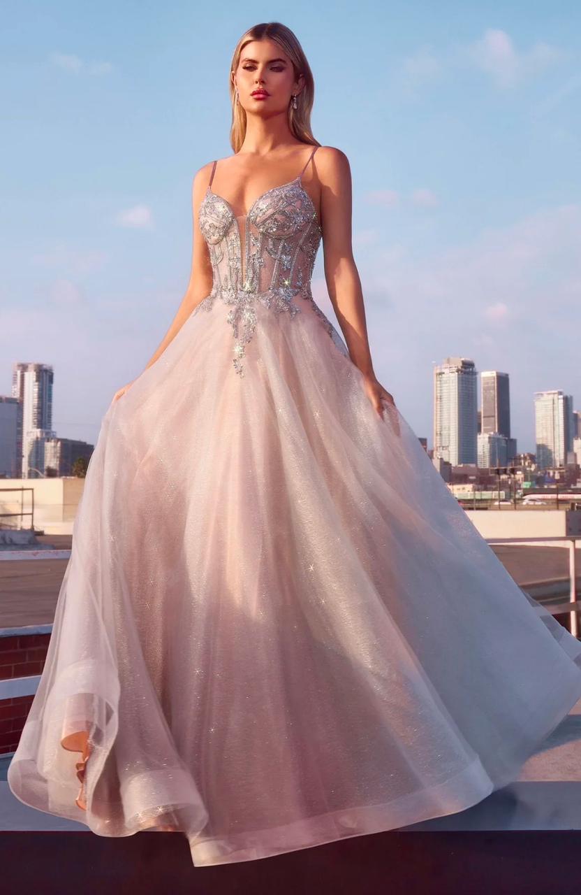 Cindirela Divine CC0881