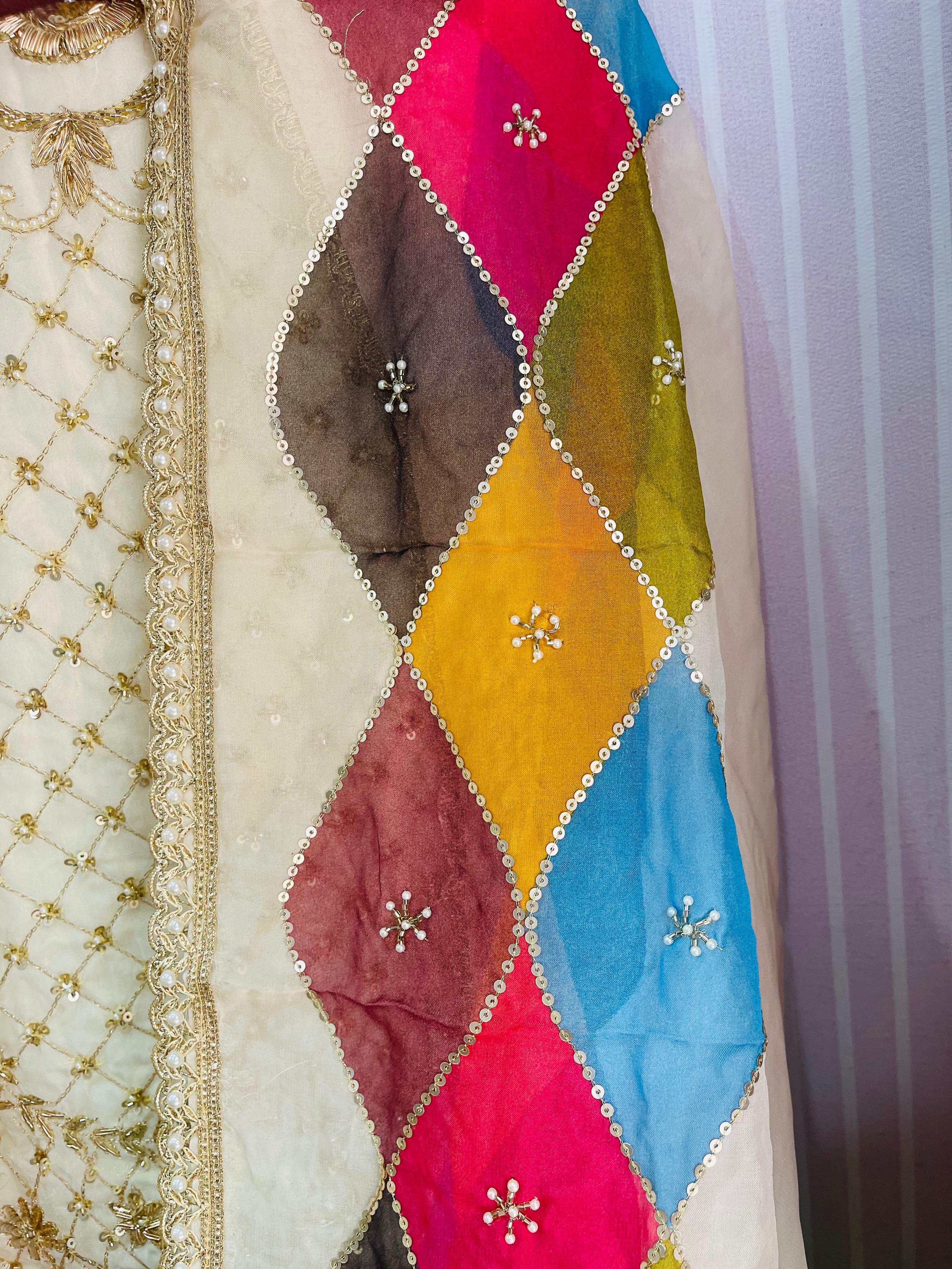 AC145 | Multicolored Phulkari Dupatta