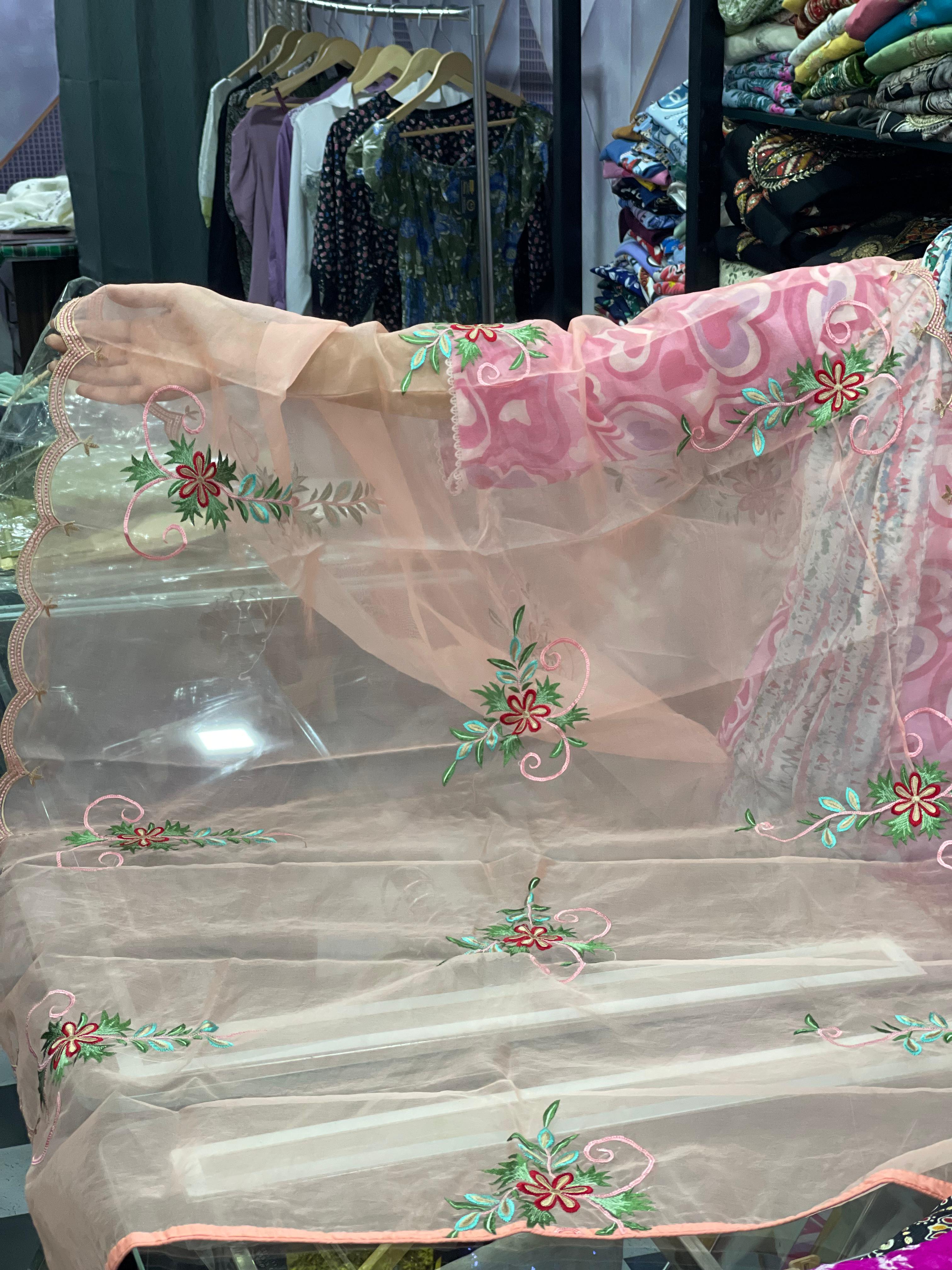 AC015 | Light Peach || Embroidered Organza Dupatta