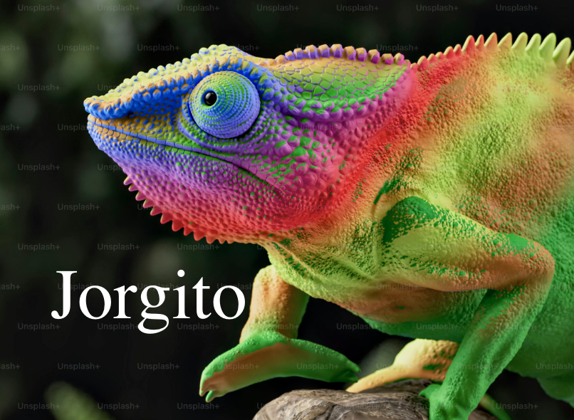 巨型傑克森 (Trioceros Jacksonii Xantholophus)